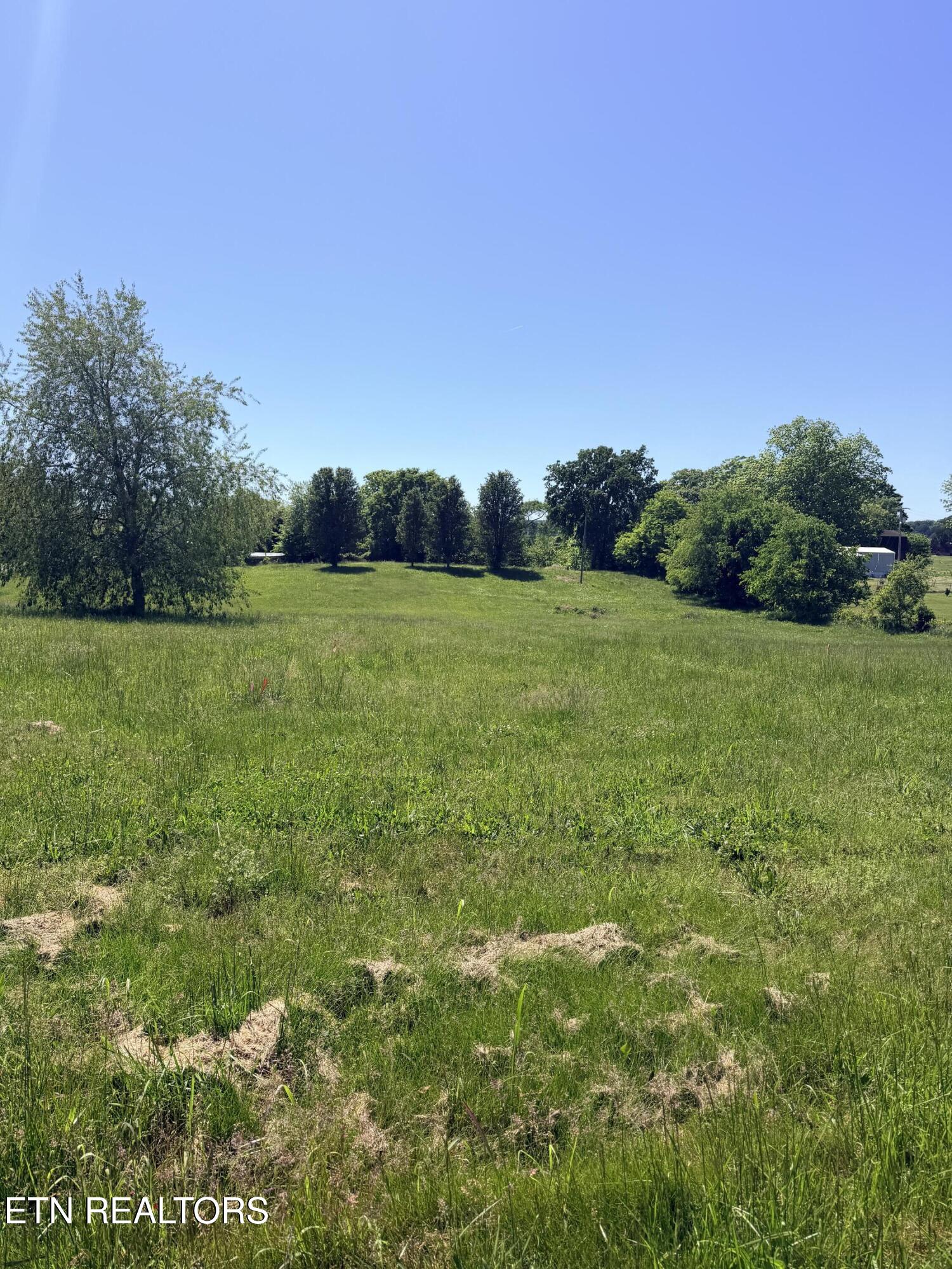 2058 Walter Drive Bulls Gap TN 37711