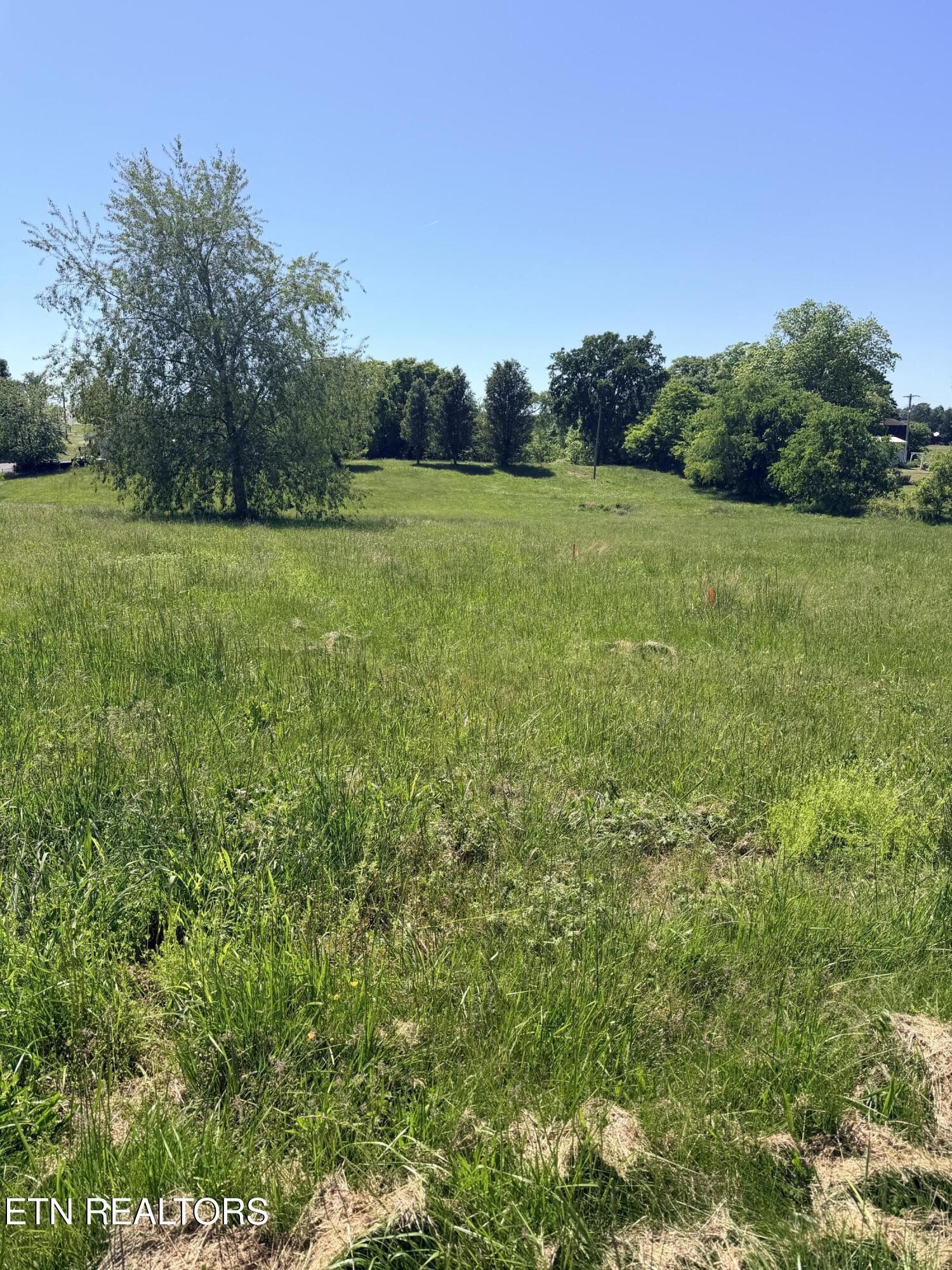 2058 Walter Drive Bulls Gap TN 37711