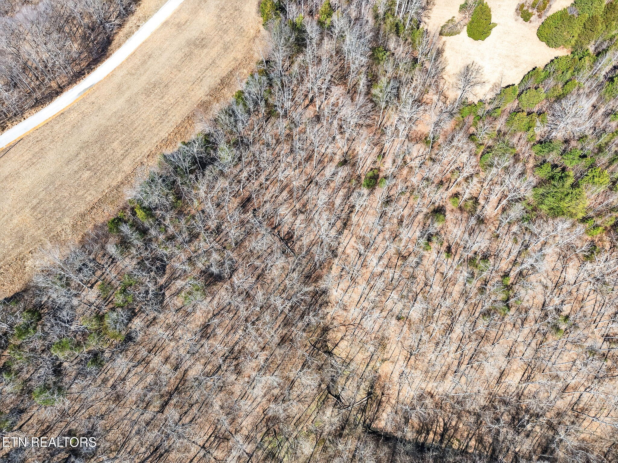 Lot 7 Terrapin Ridge Road Hilham TN 38568