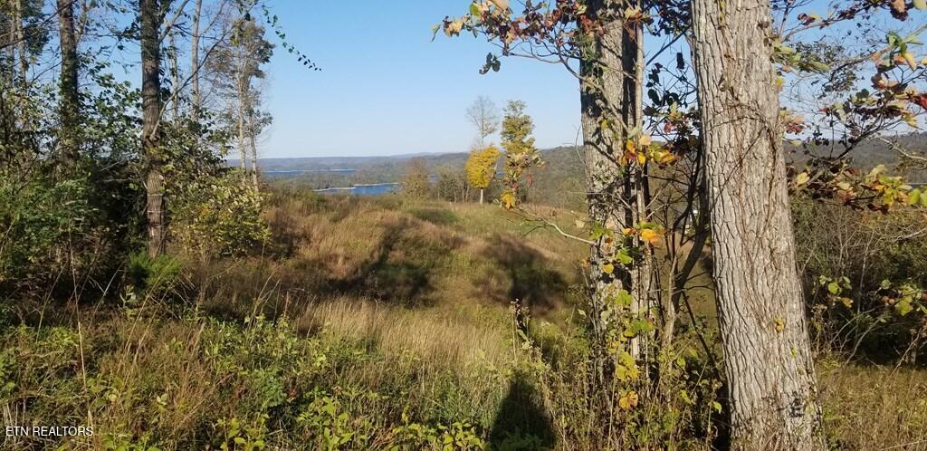 Lot 7c Swan Ridge Road Hilham TN 38568
