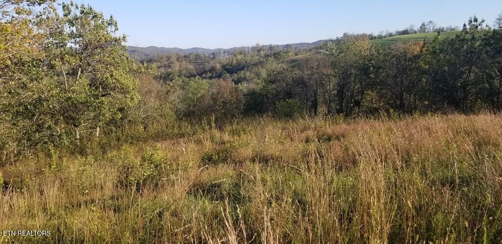Lot 7c Swan Ridge Road Hilham TN 38568