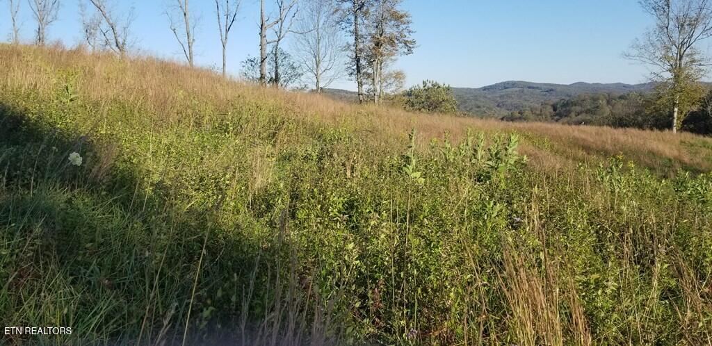 Lot 7c Swan Ridge Road Hilham TN 38568