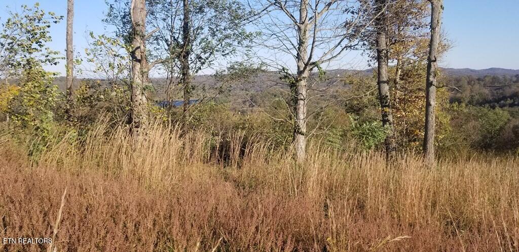 Lot 7c Swan Ridge Road Hilham TN 38568