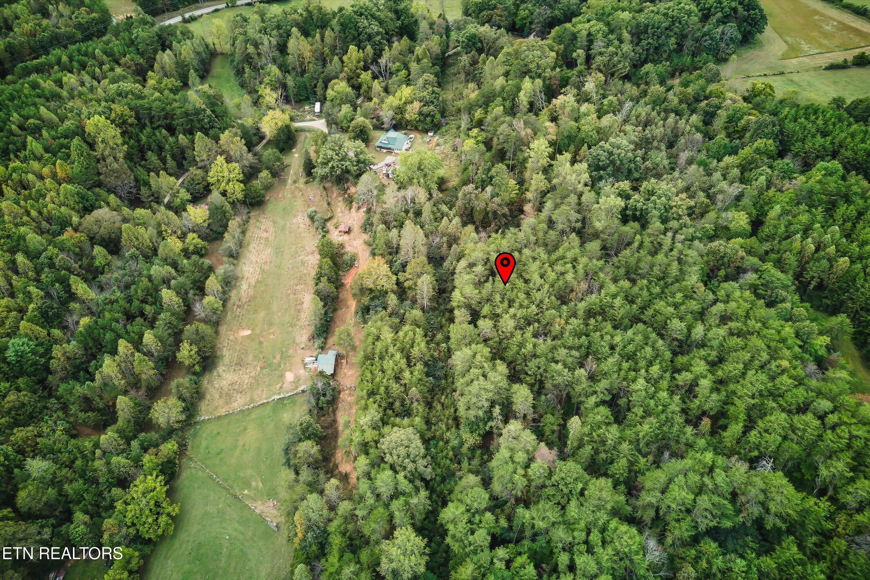 173 Akins Road Tellico Plains TN 37385