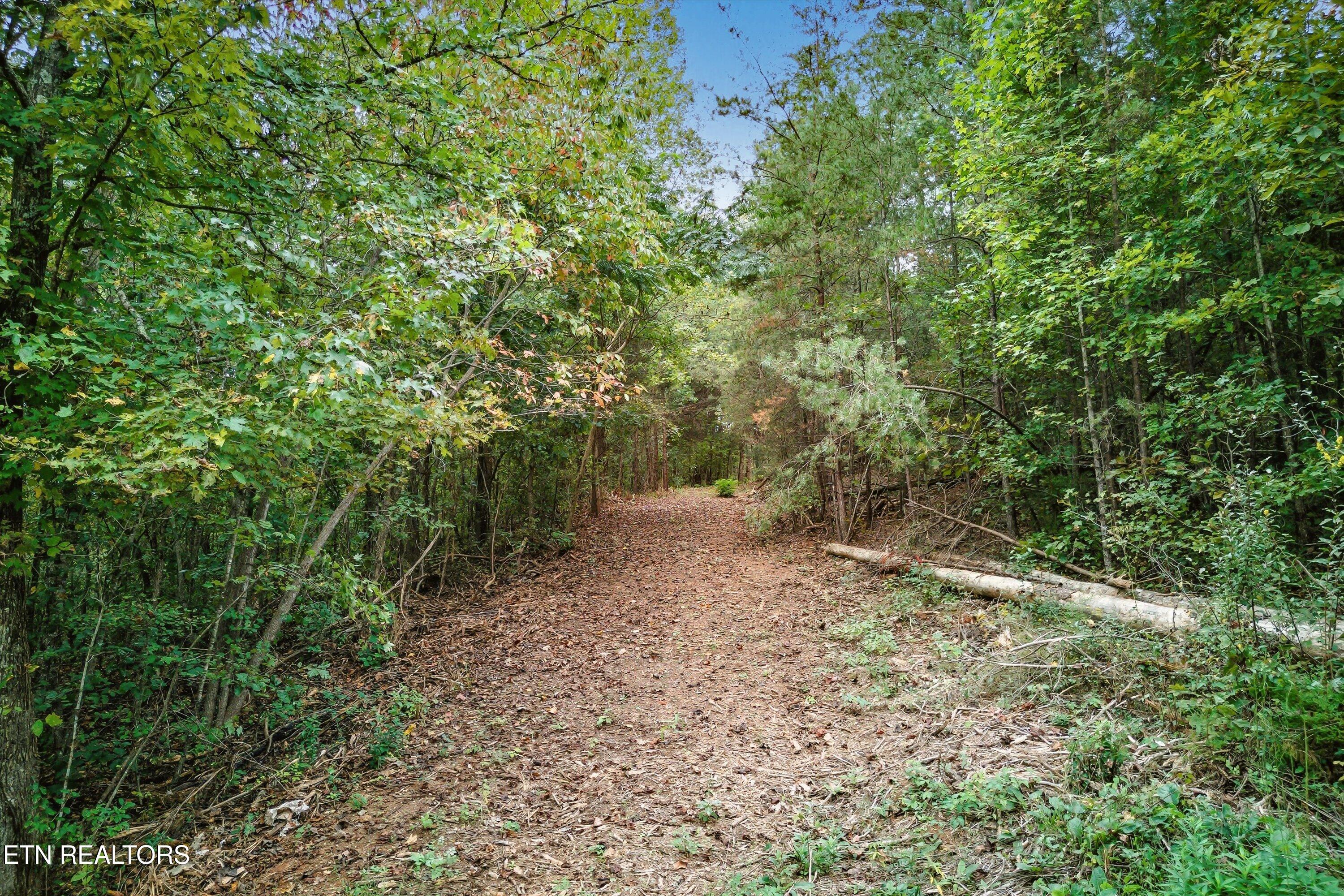 173 Akins Road Tellico Plains TN 37385