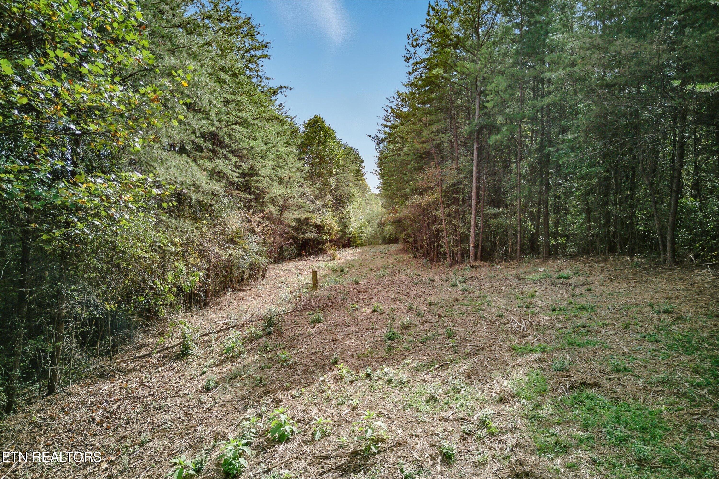 173 Akins Road Tellico Plains TN 37385