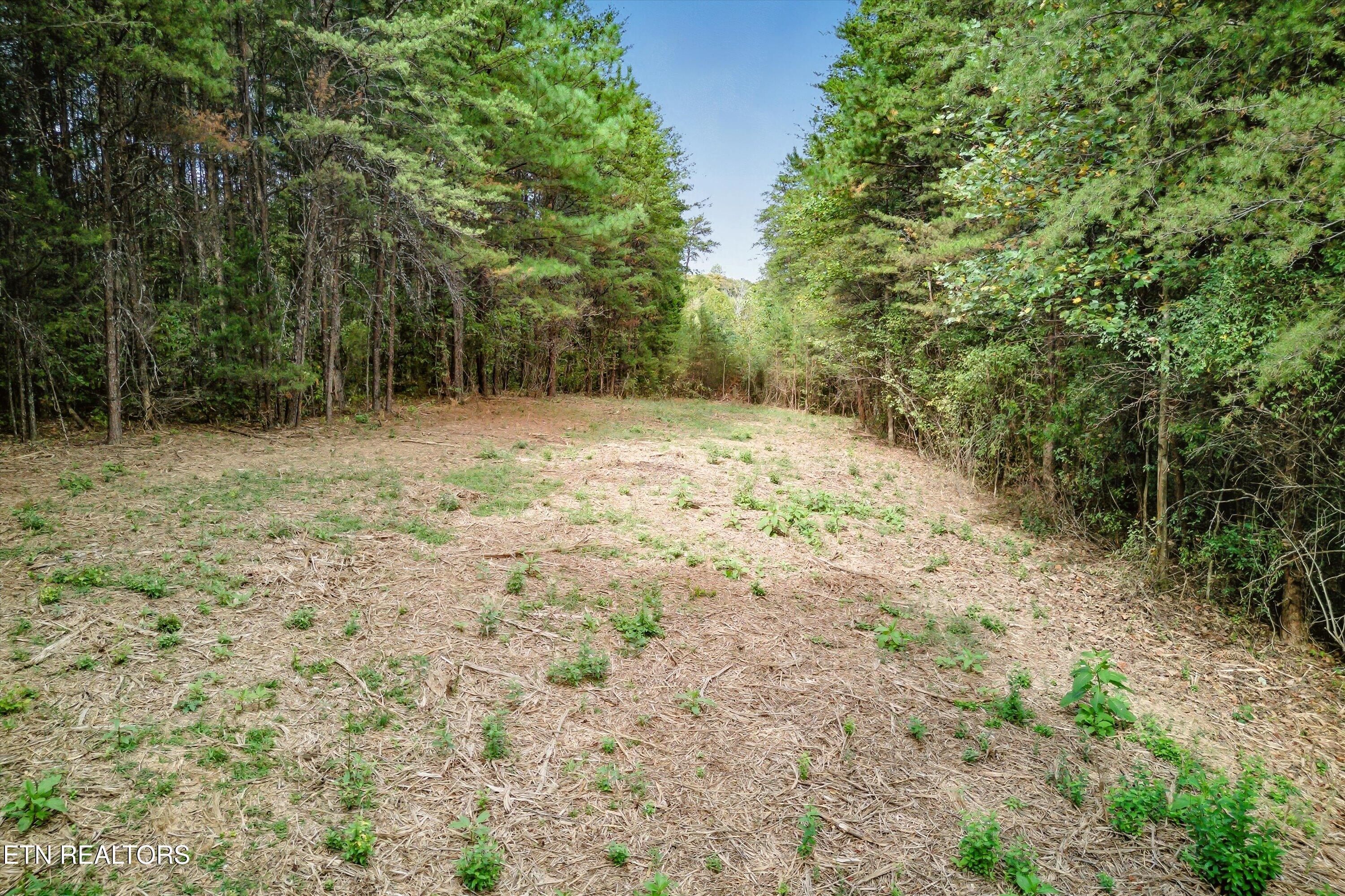 173 Akins Road Tellico Plains TN 37385