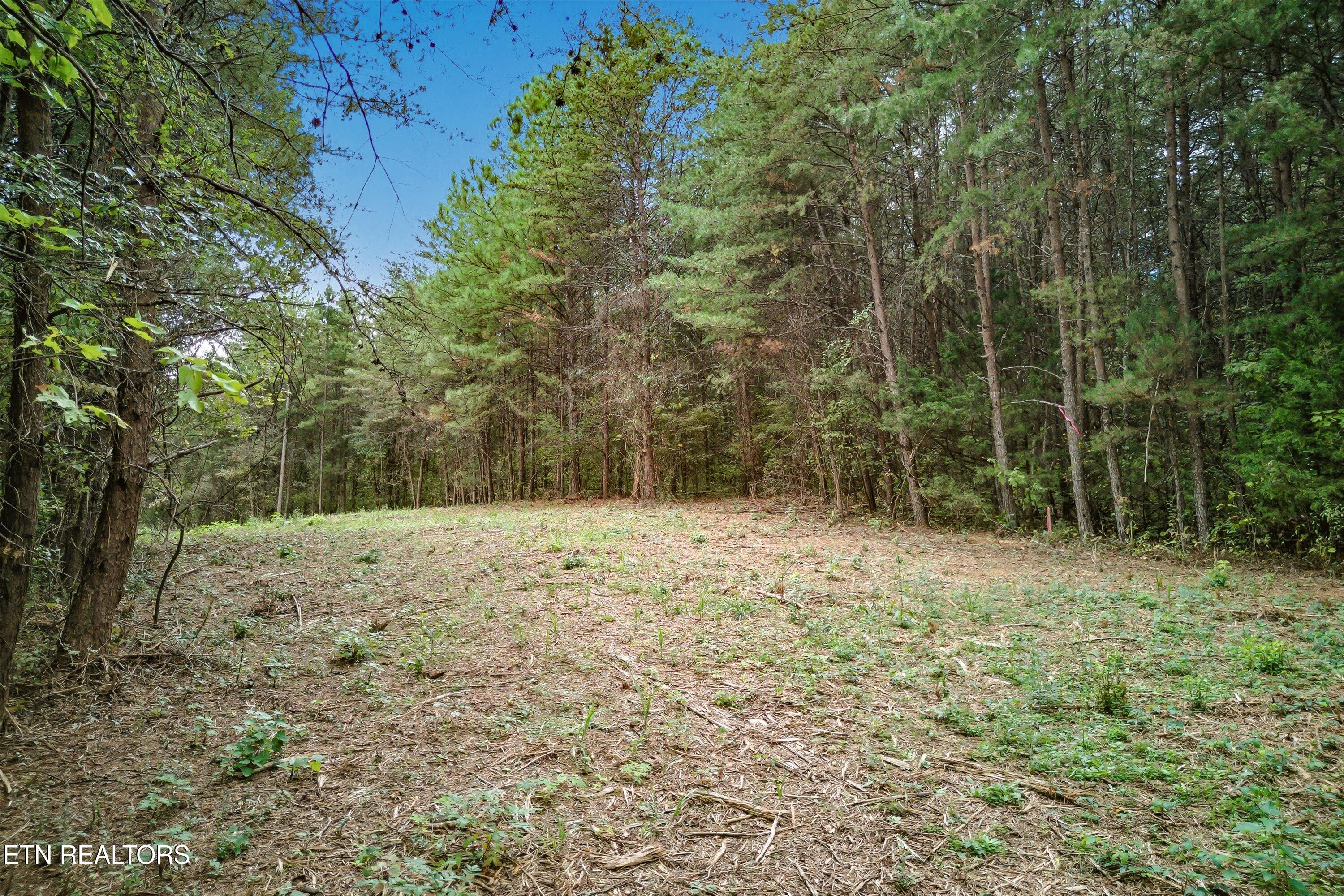 173 Akins Road Tellico Plains TN 37385