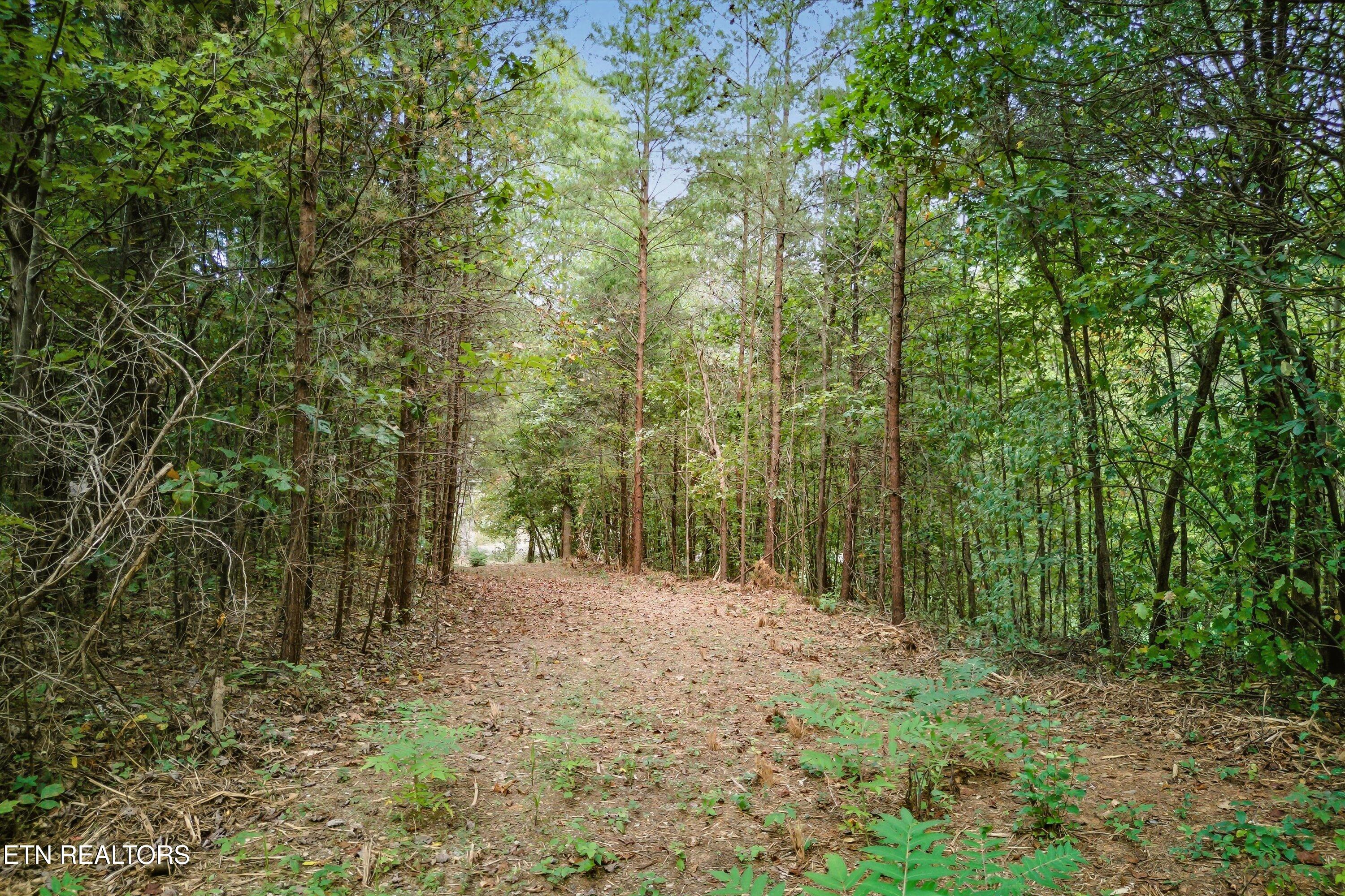 173 Akins Road Tellico Plains TN 37385