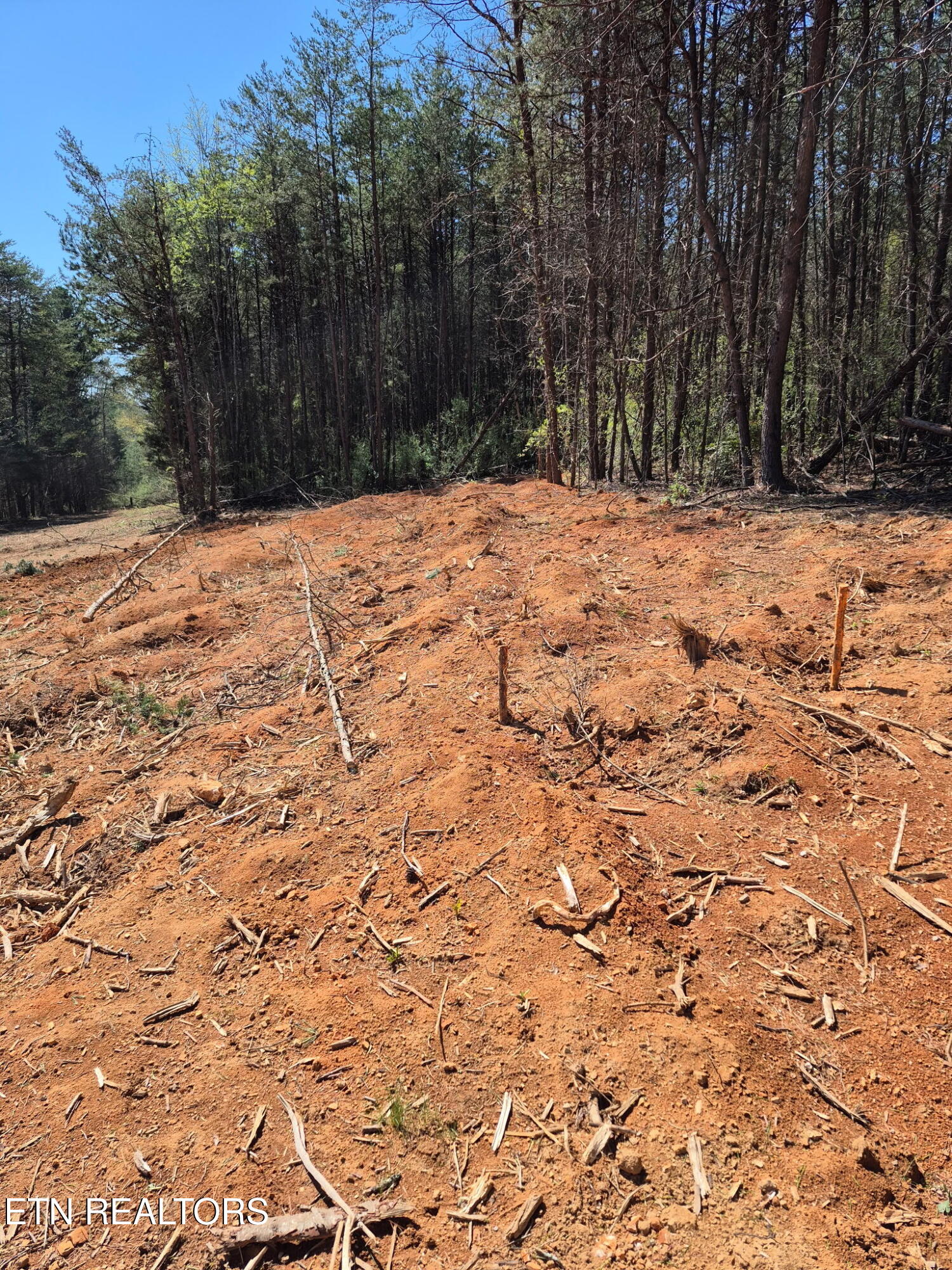 173 Akins Road Tellico Plains TN 37385