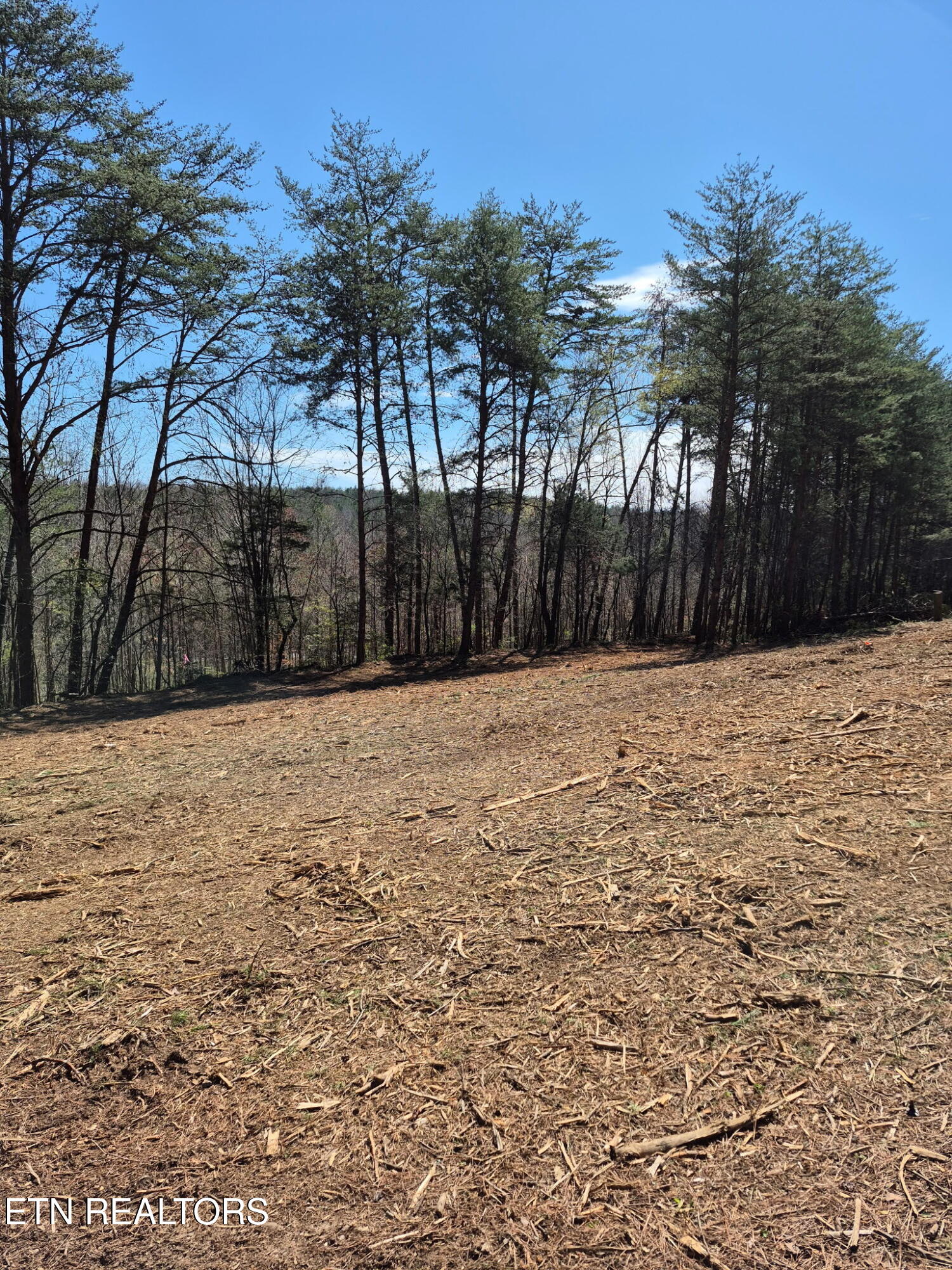 173 Akins Road Tellico Plains TN 37385