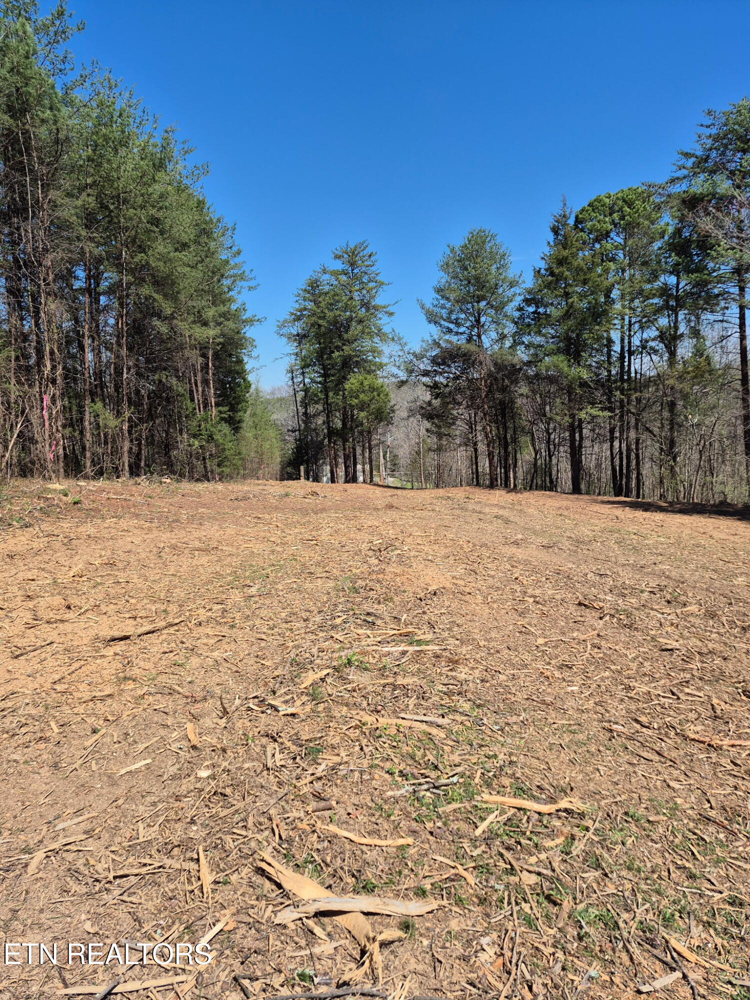 173 Akins Road Tellico Plains TN 37385