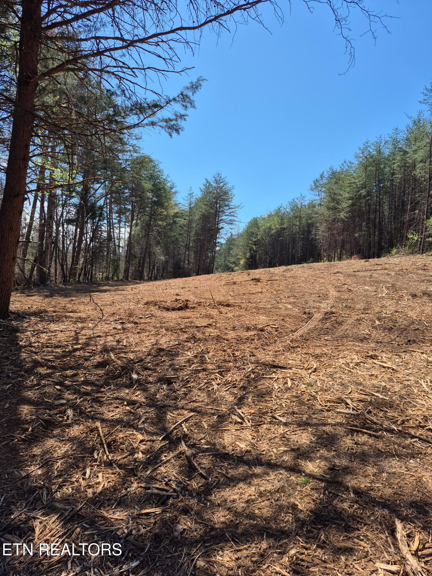 173 Akins Road Tellico Plains TN 37385
