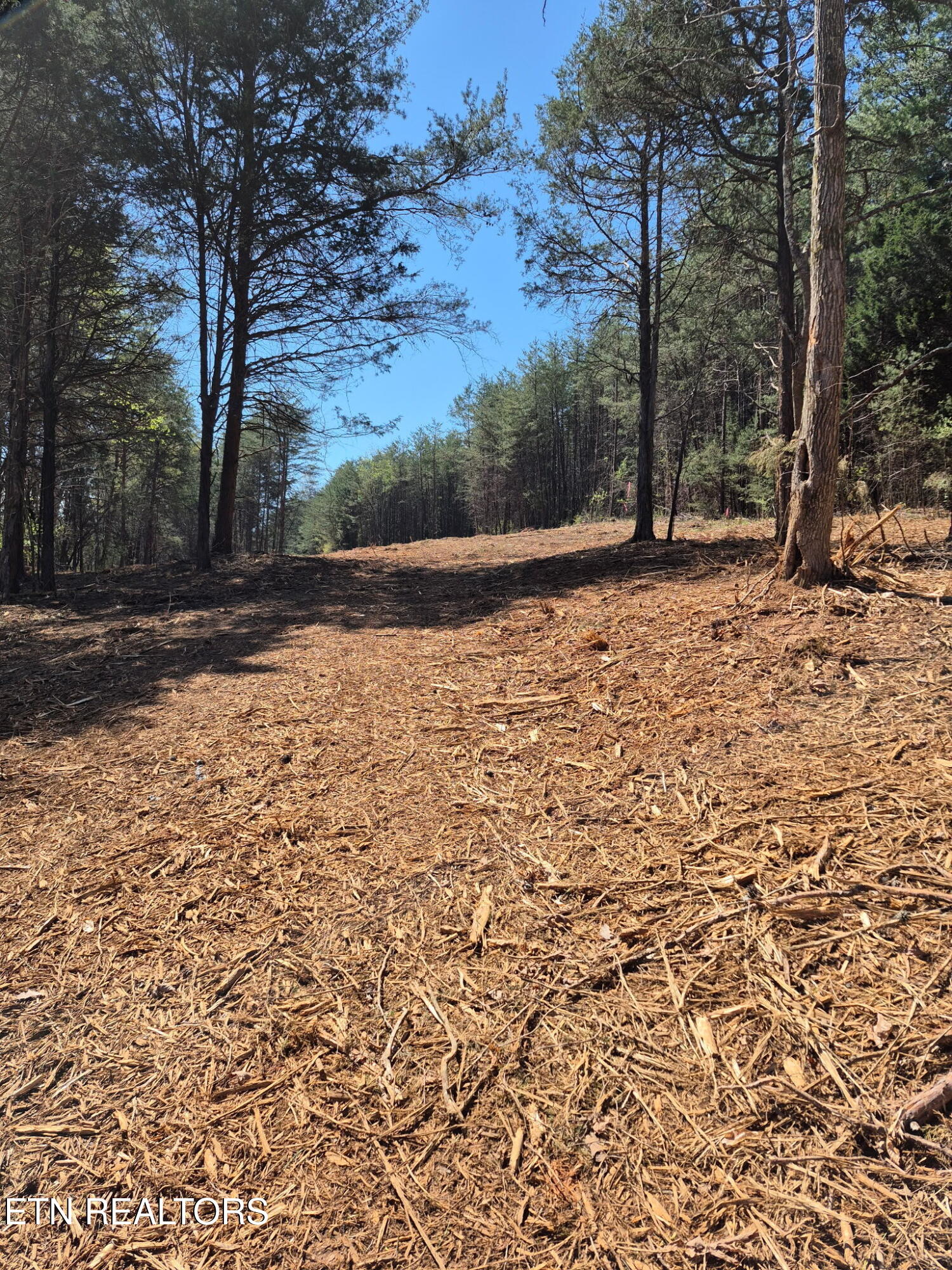 173 Akins Road Tellico Plains TN 37385