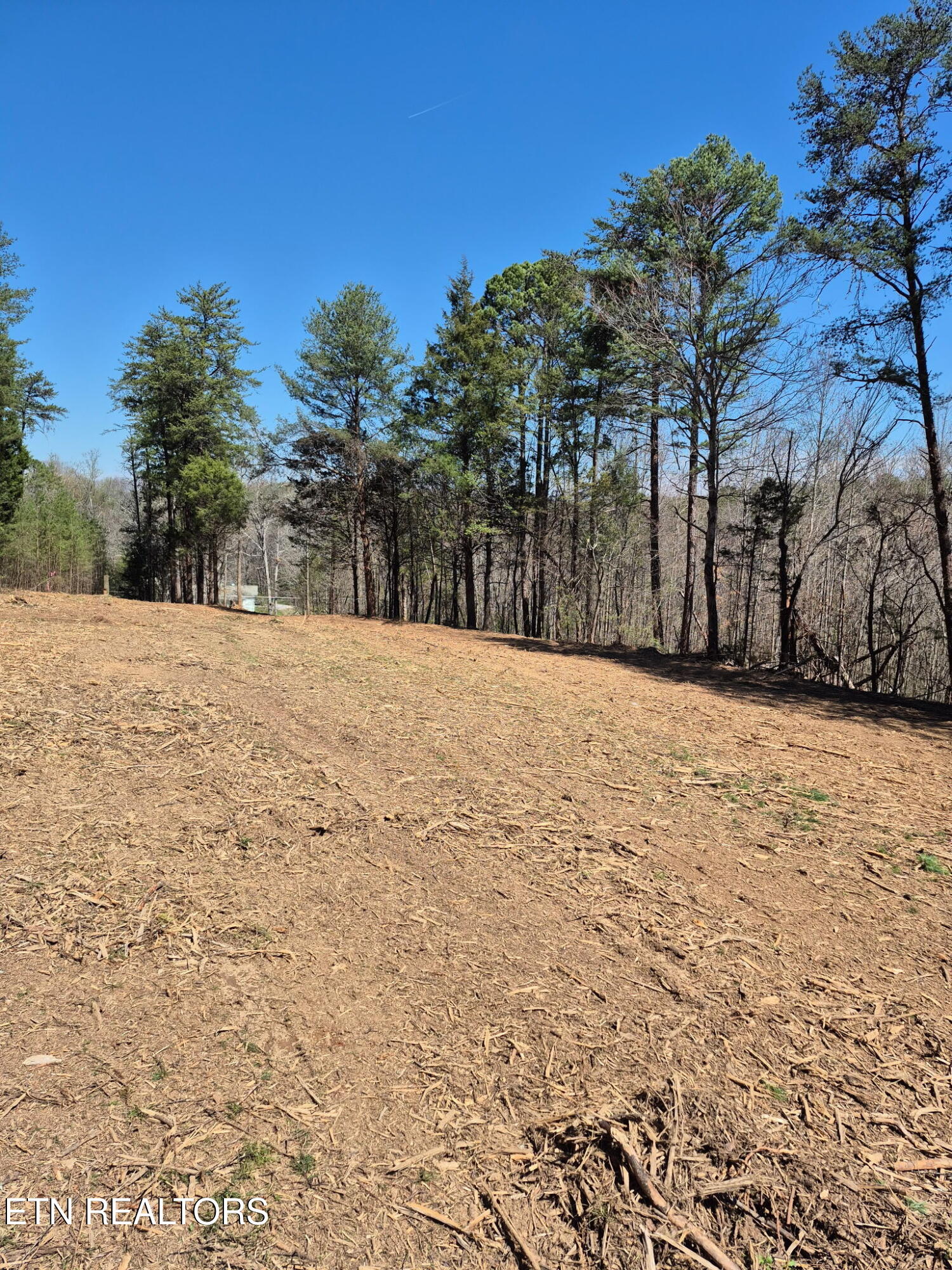 173 Akins Road Tellico Plains TN 37385