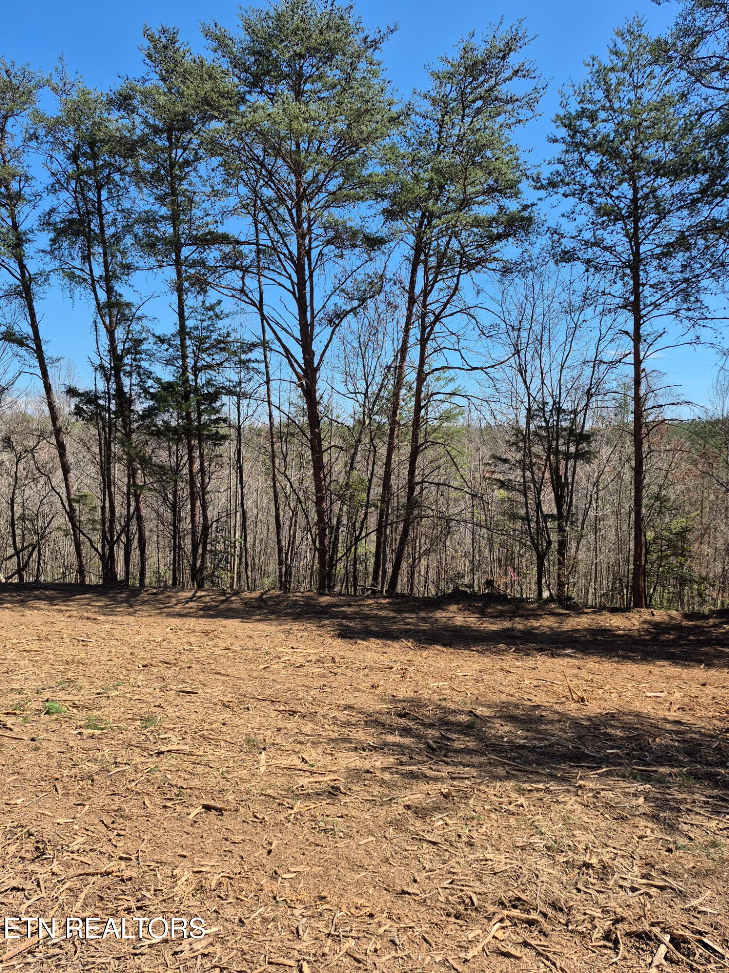 173 Akins Road Tellico Plains TN 37385