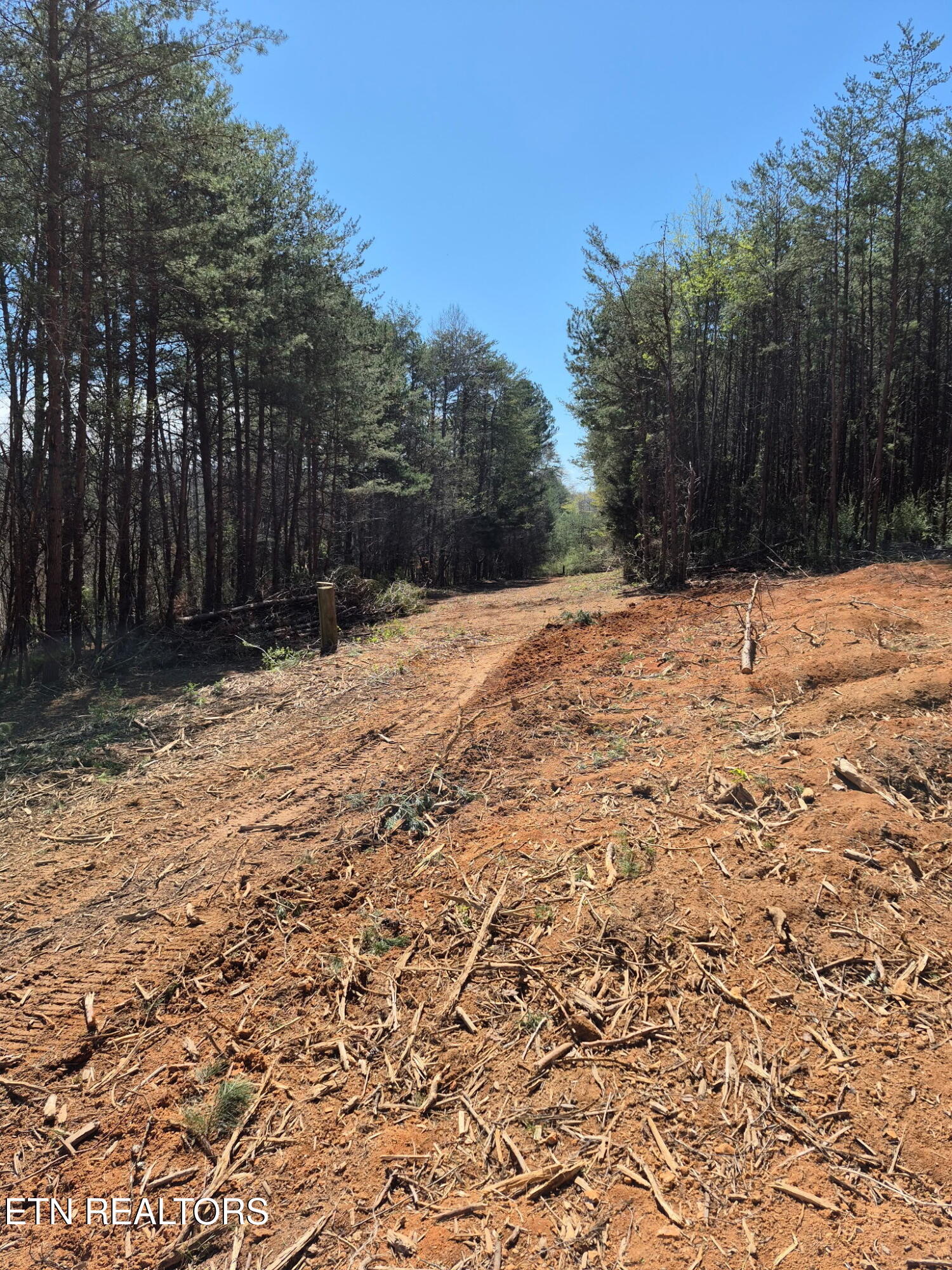 173 Akins Road Tellico Plains TN 37385