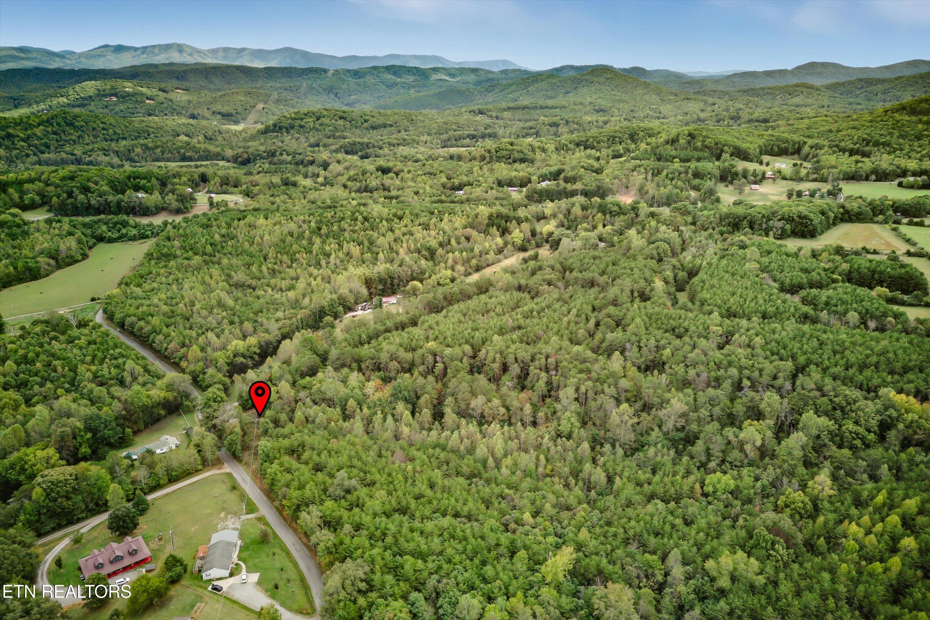 173 Akins Road Tellico Plains TN 37385