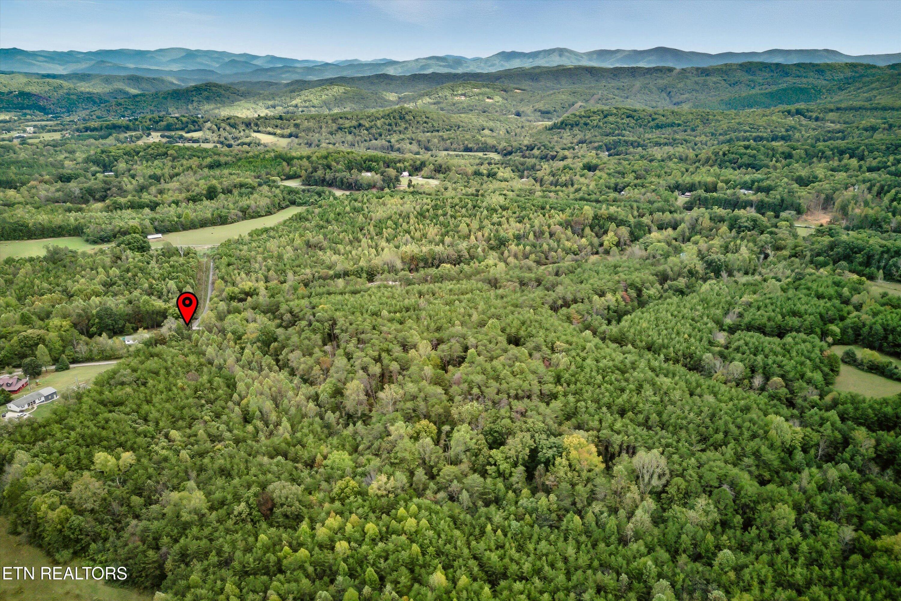 173 Akins Road Tellico Plains TN 37385