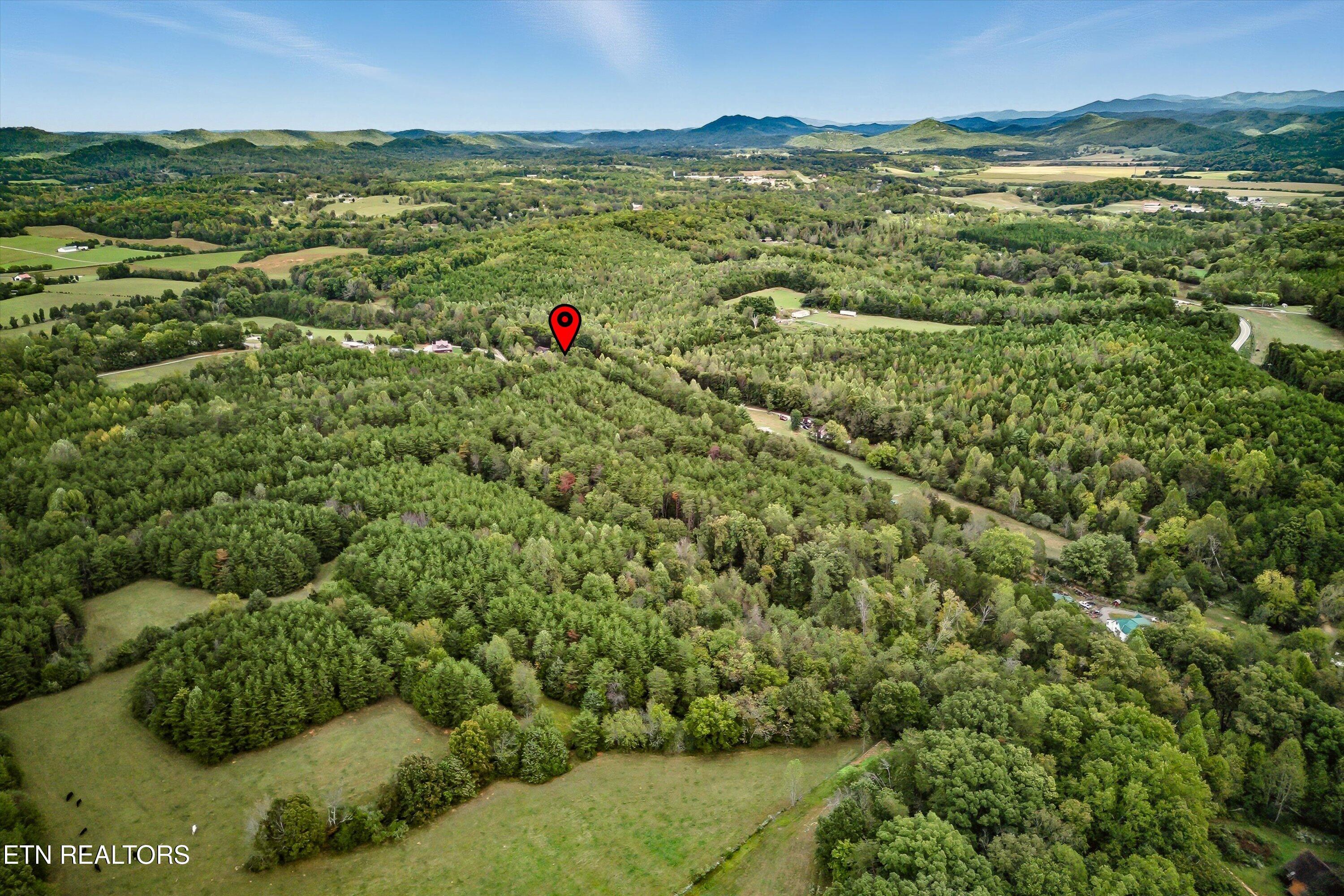 173 Akins Road Tellico Plains TN 37385