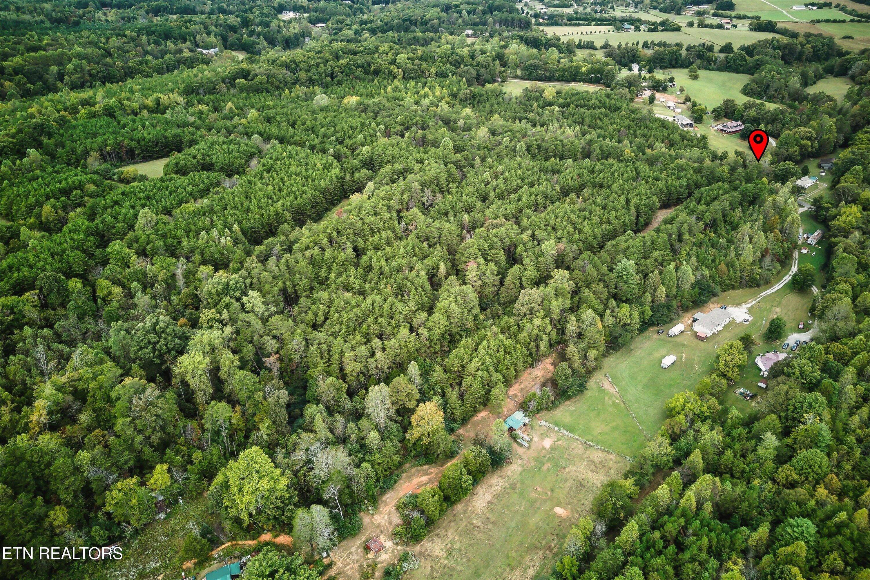 173 Akins Road Tellico Plains TN 37385