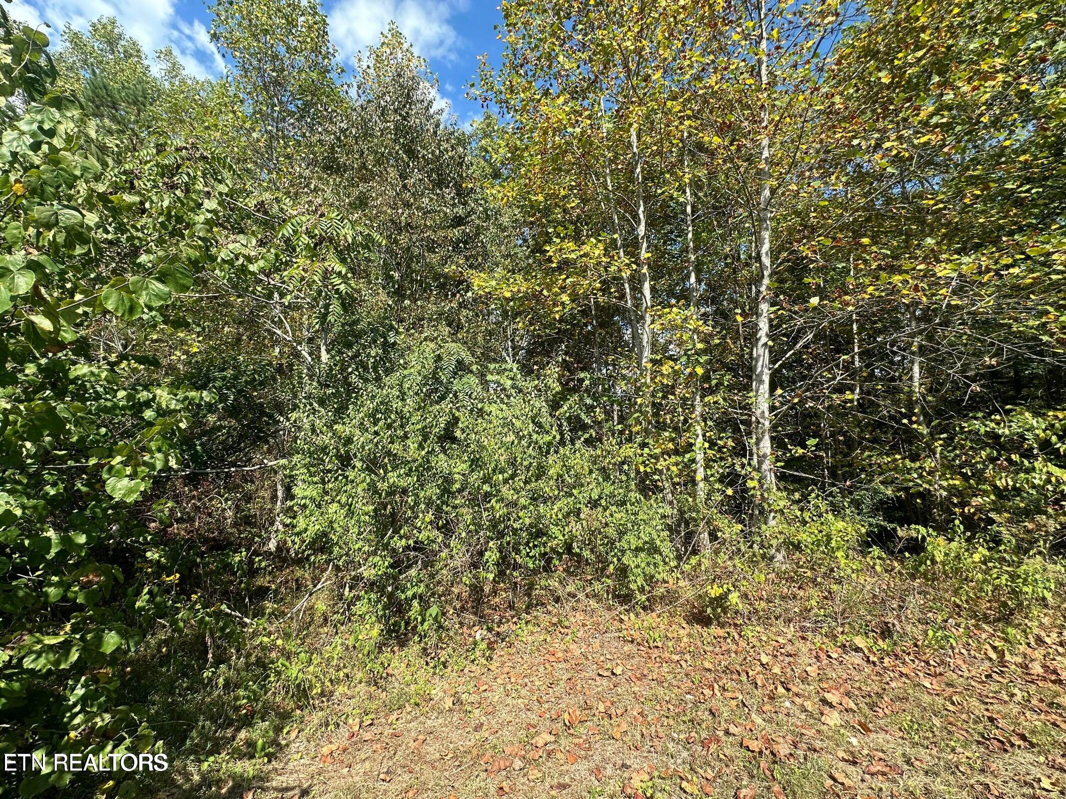 Lot 43 Old Hearth Lafollette TN 37766