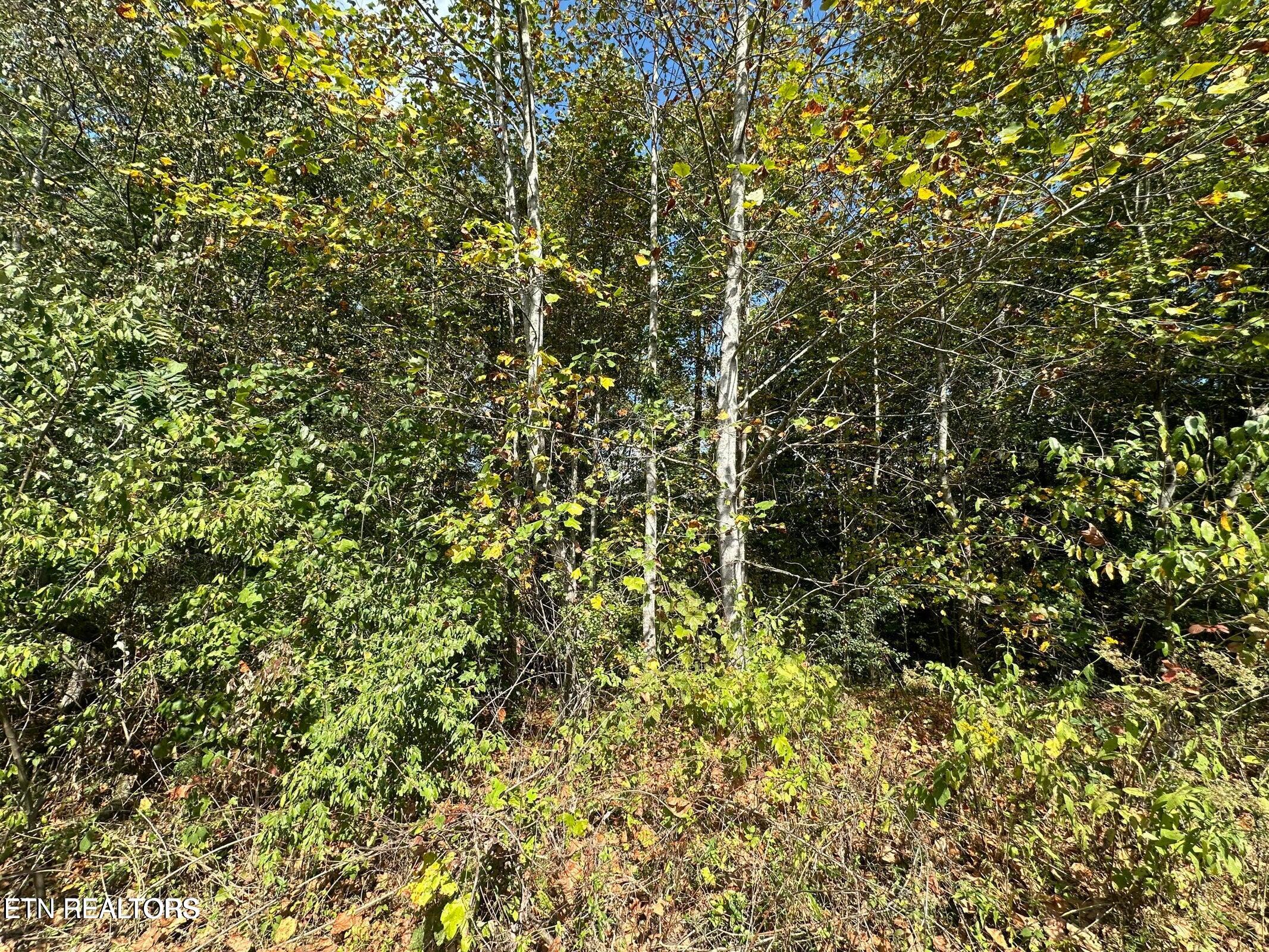 Lot 43 Old Hearth Lafollette TN 37766