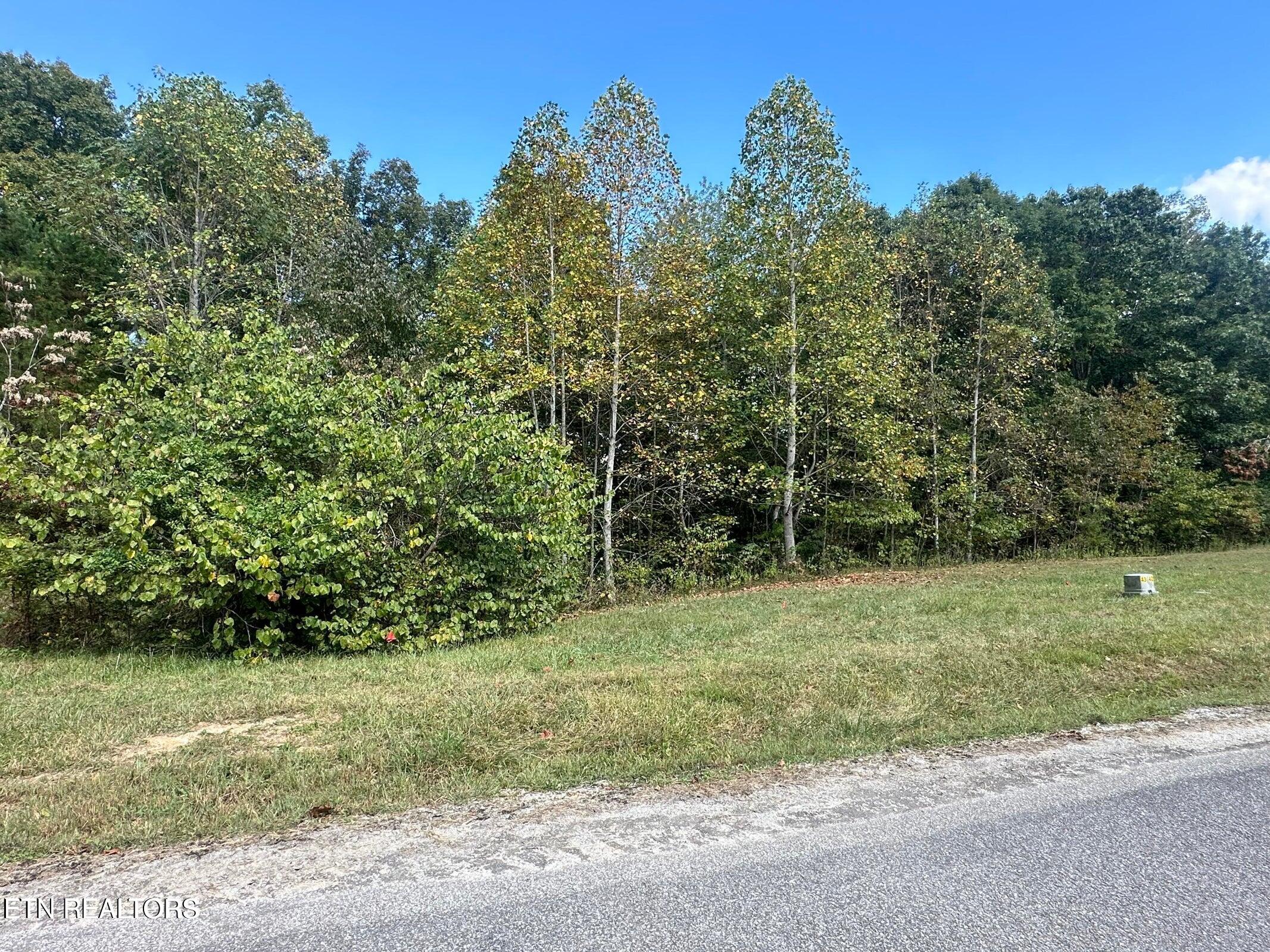 Lot 43 Old Hearth Lafollette TN 37766