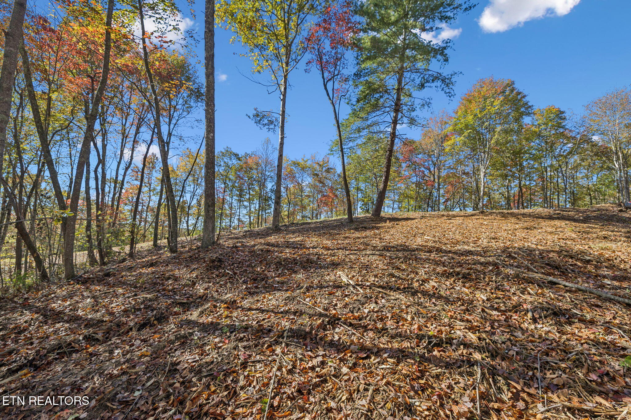 Sheep Ranch Road Robbins TN 37852