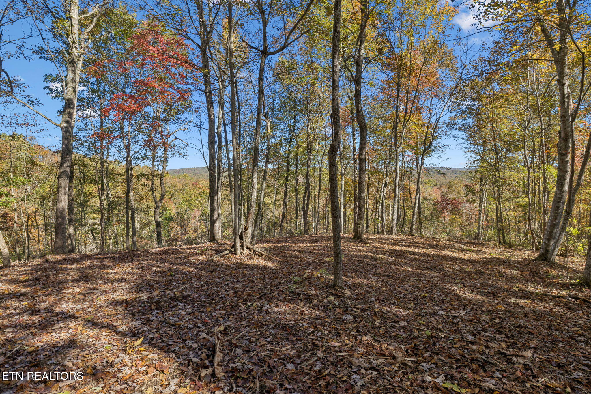 Sheep Ranch Road Robbins TN 37852