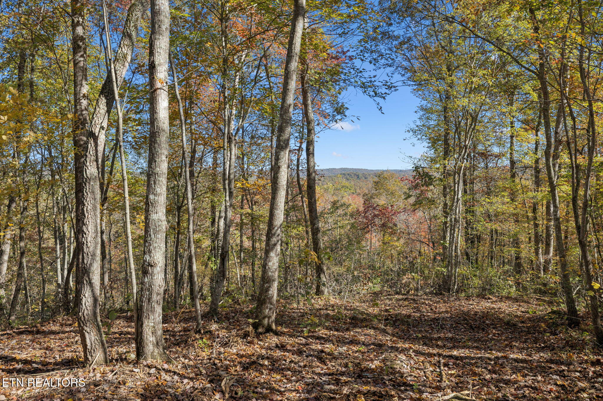 Sheep Ranch Road Robbins TN 37852