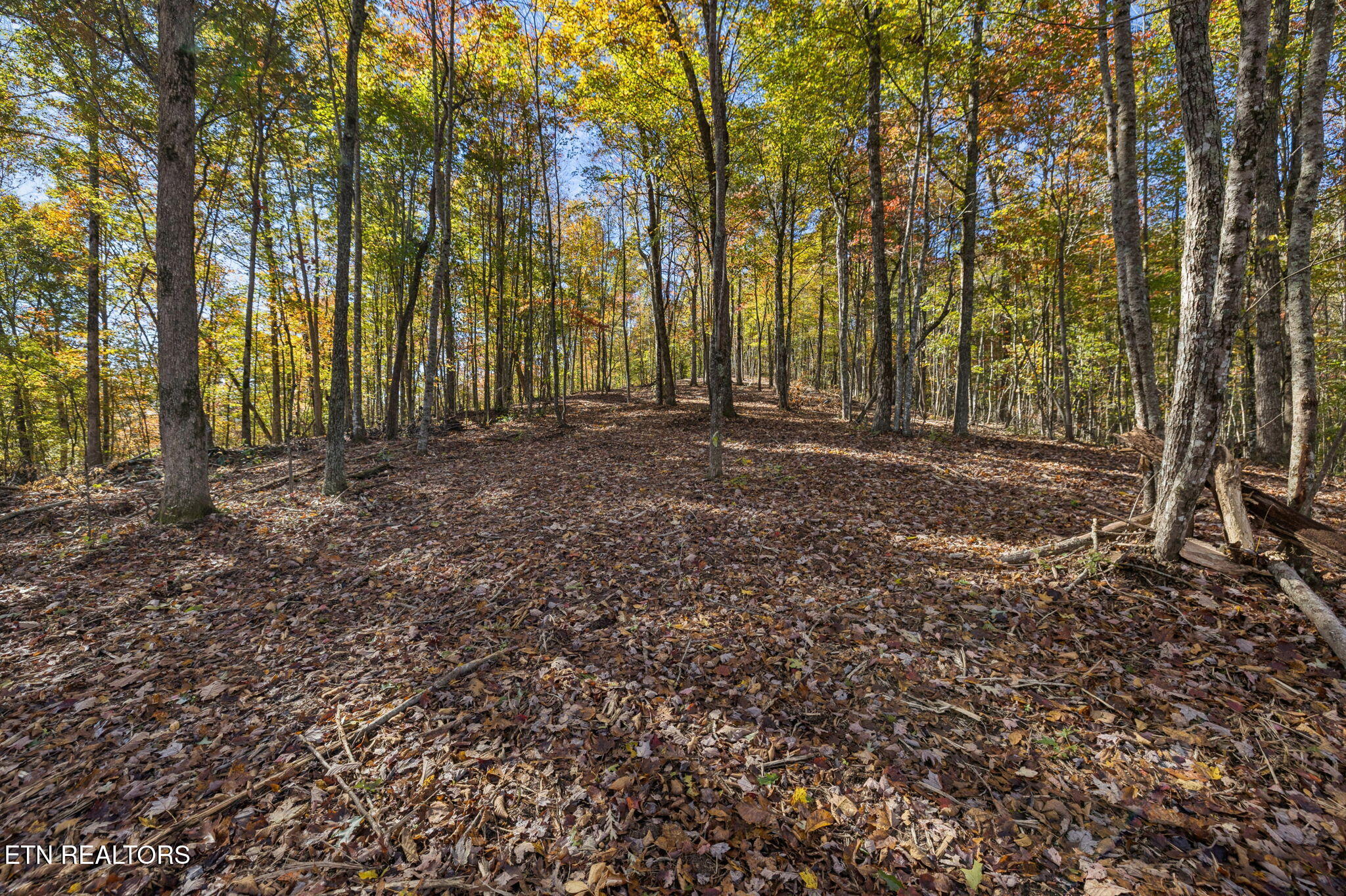 Sheep Ranch Road Robbins TN 37852