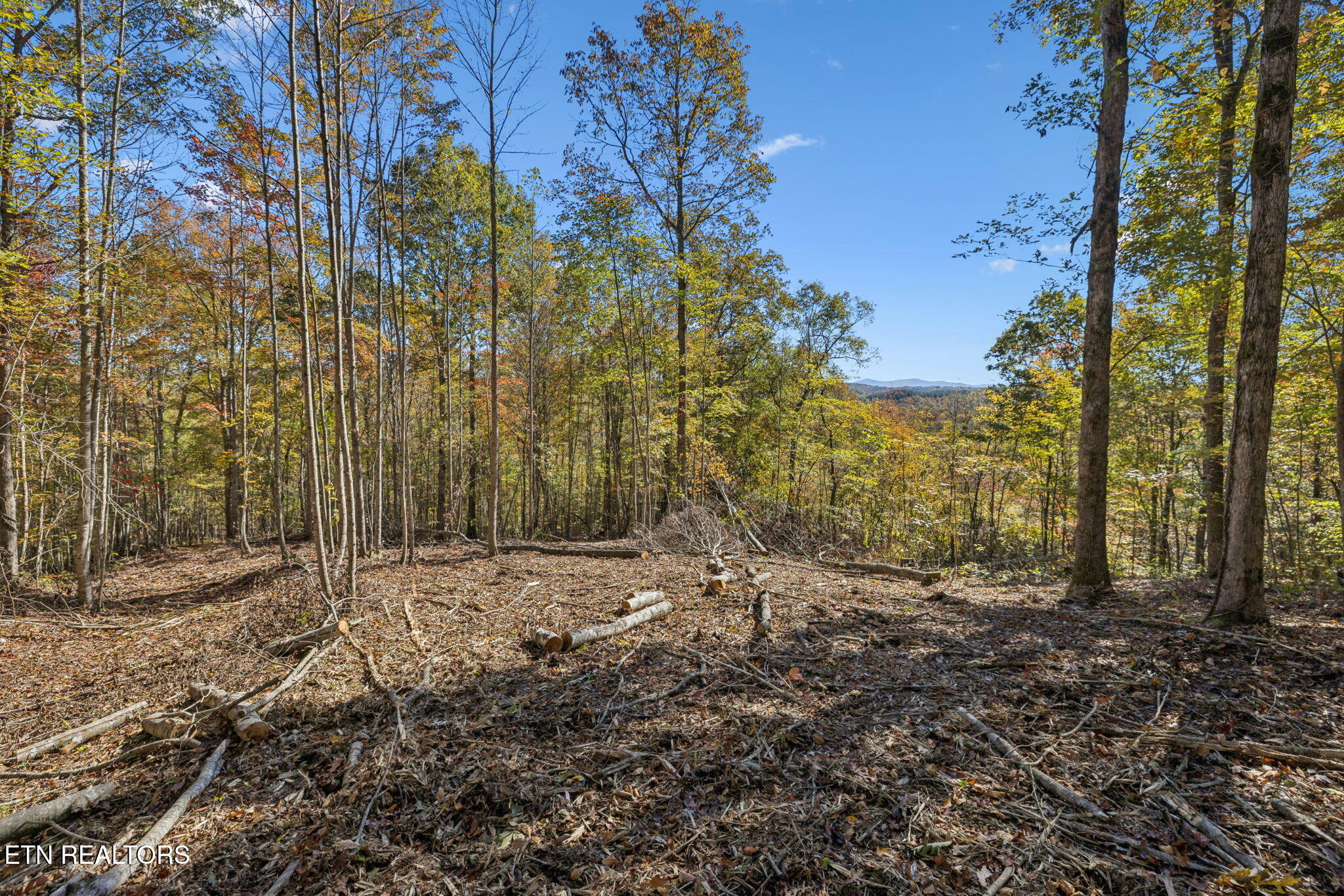 Sheep Ranch Road Robbins TN 37852