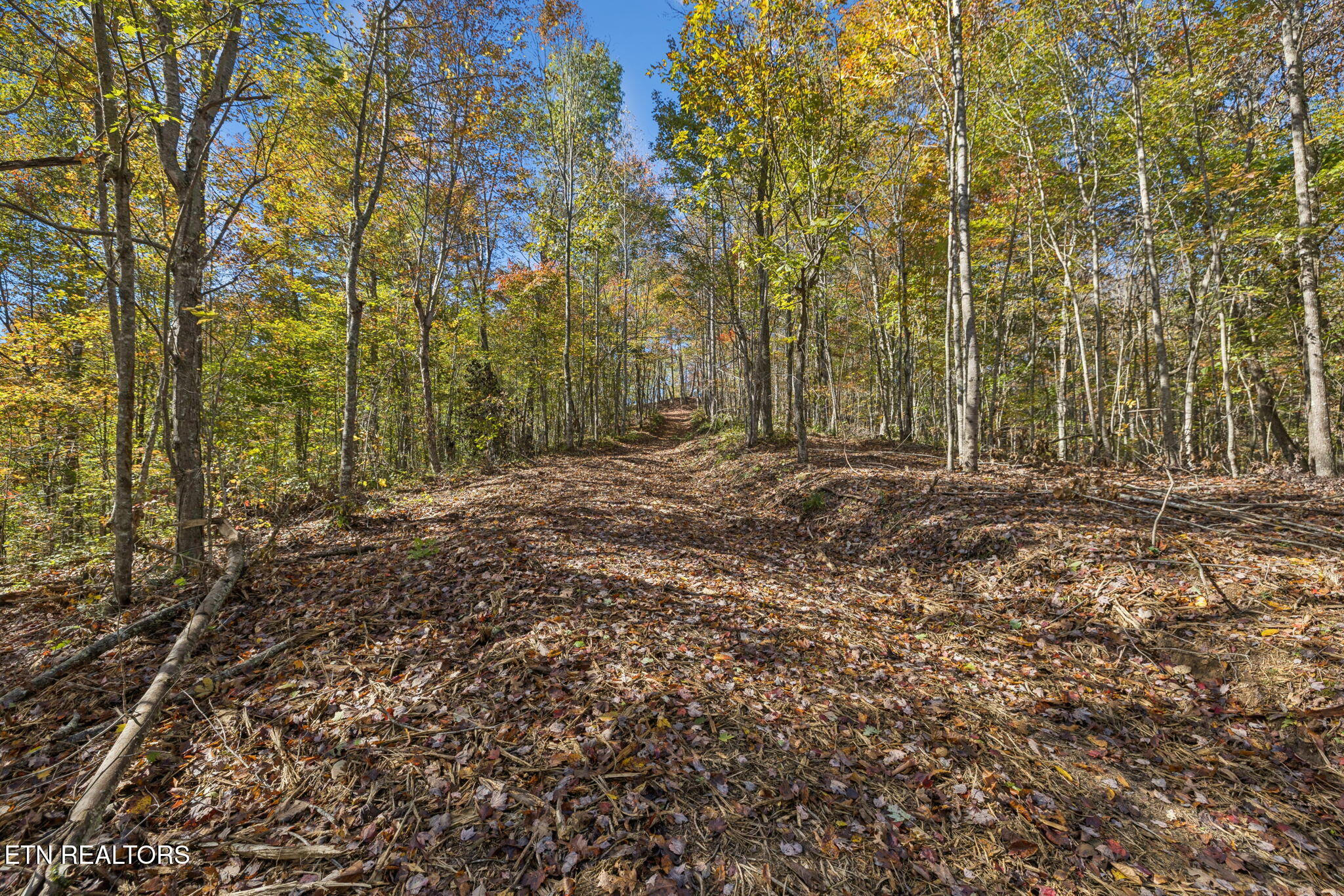 Sheep Ranch Road Robbins TN 37852