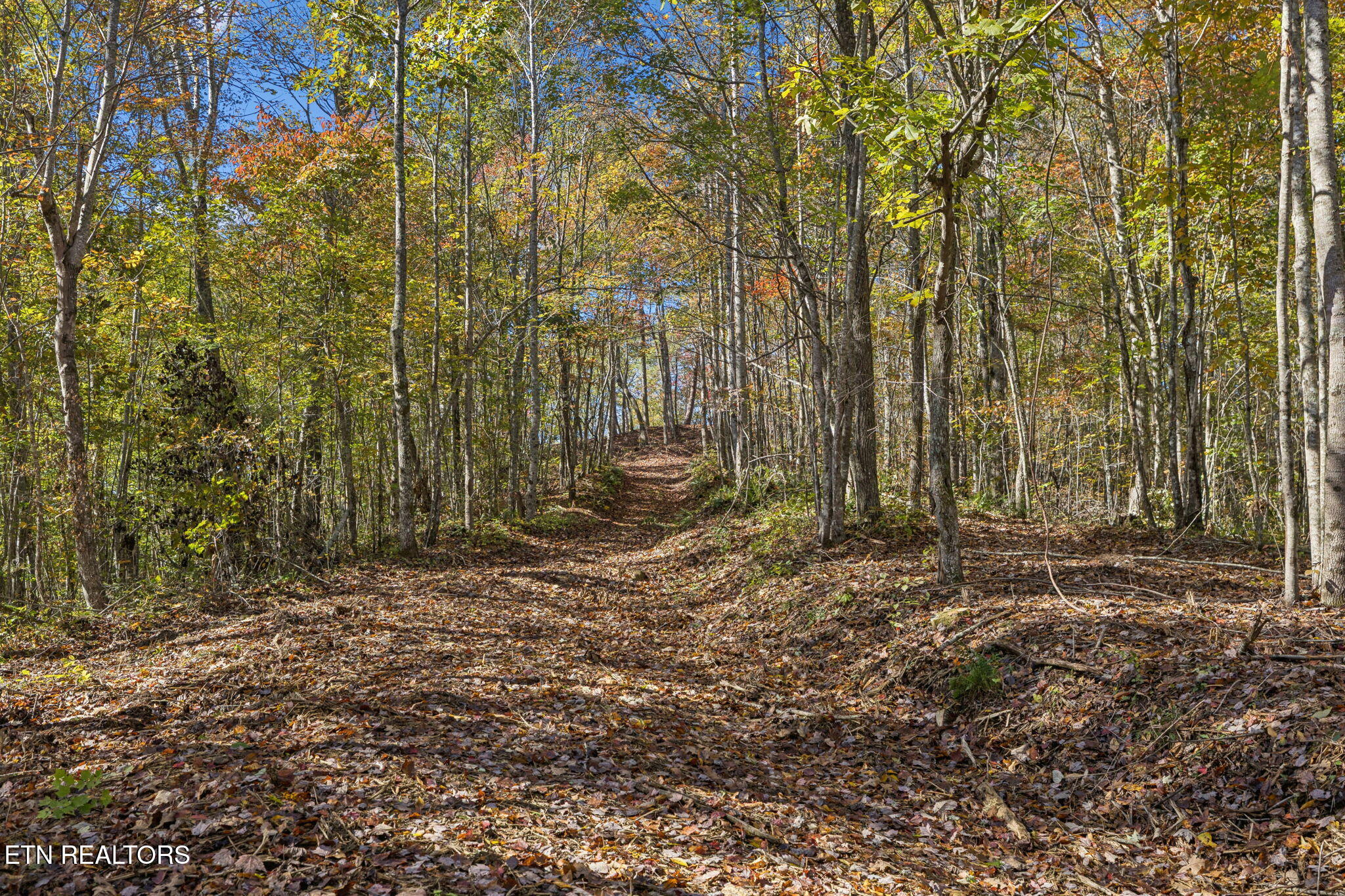 Sheep Ranch Road Robbins TN 37852