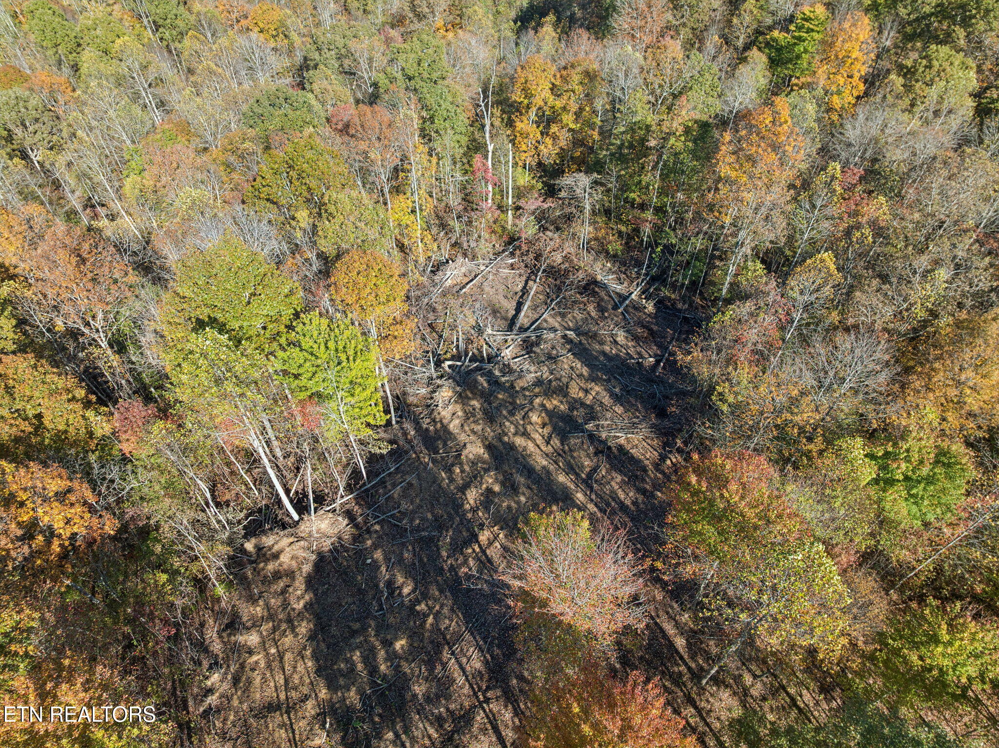 Sheep Ranch Road Robbins TN 37852
