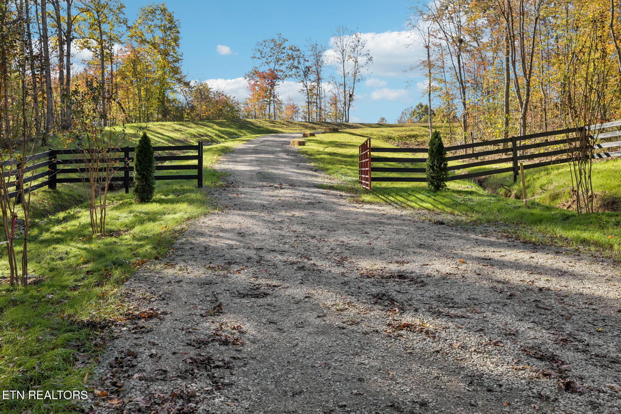 Sheep Ranch Road Robbins TN 37852