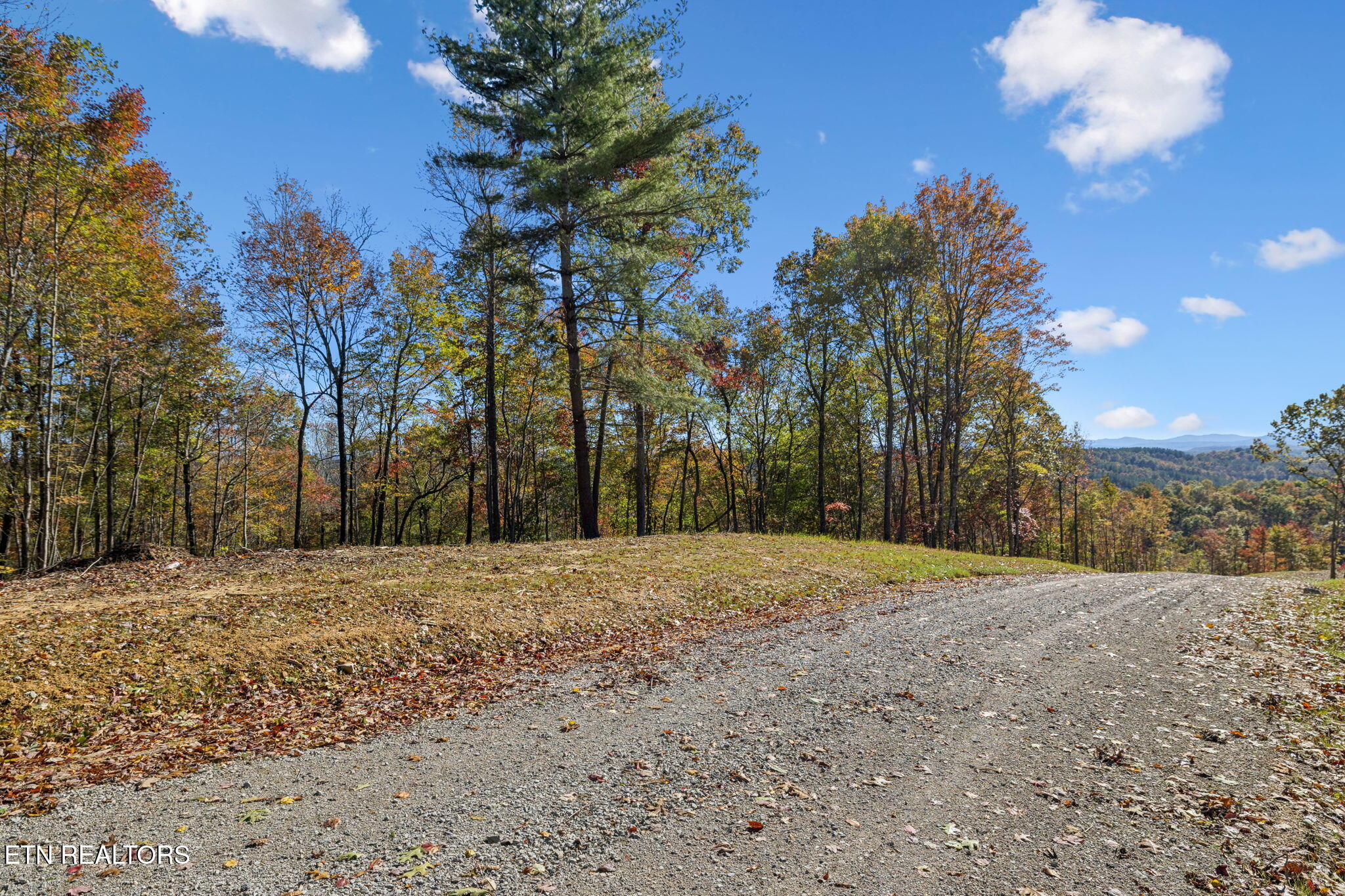 Sheep Ranch Road Robbins TN 37852