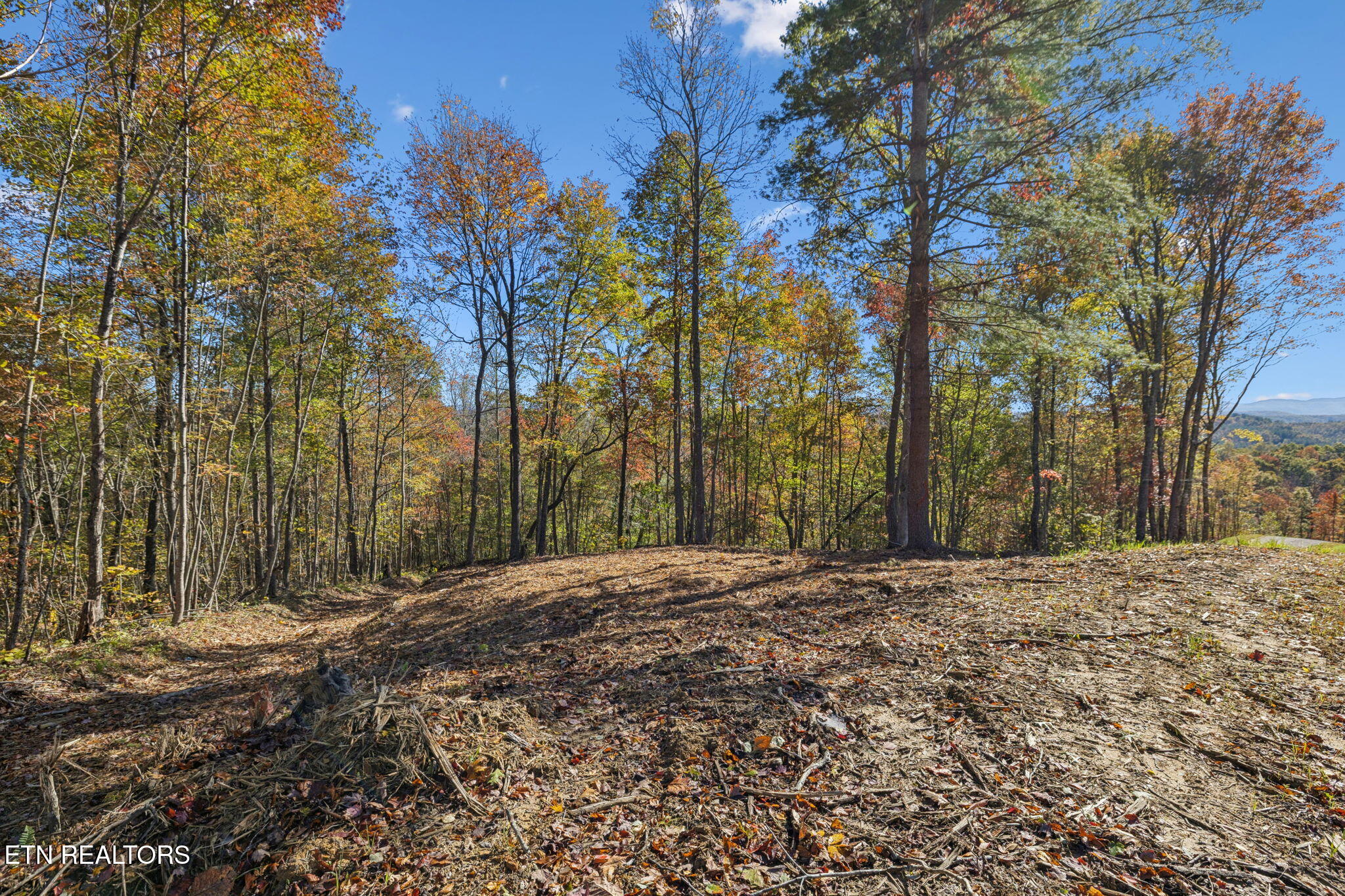 Sheep Ranch Road Robbins TN 37852