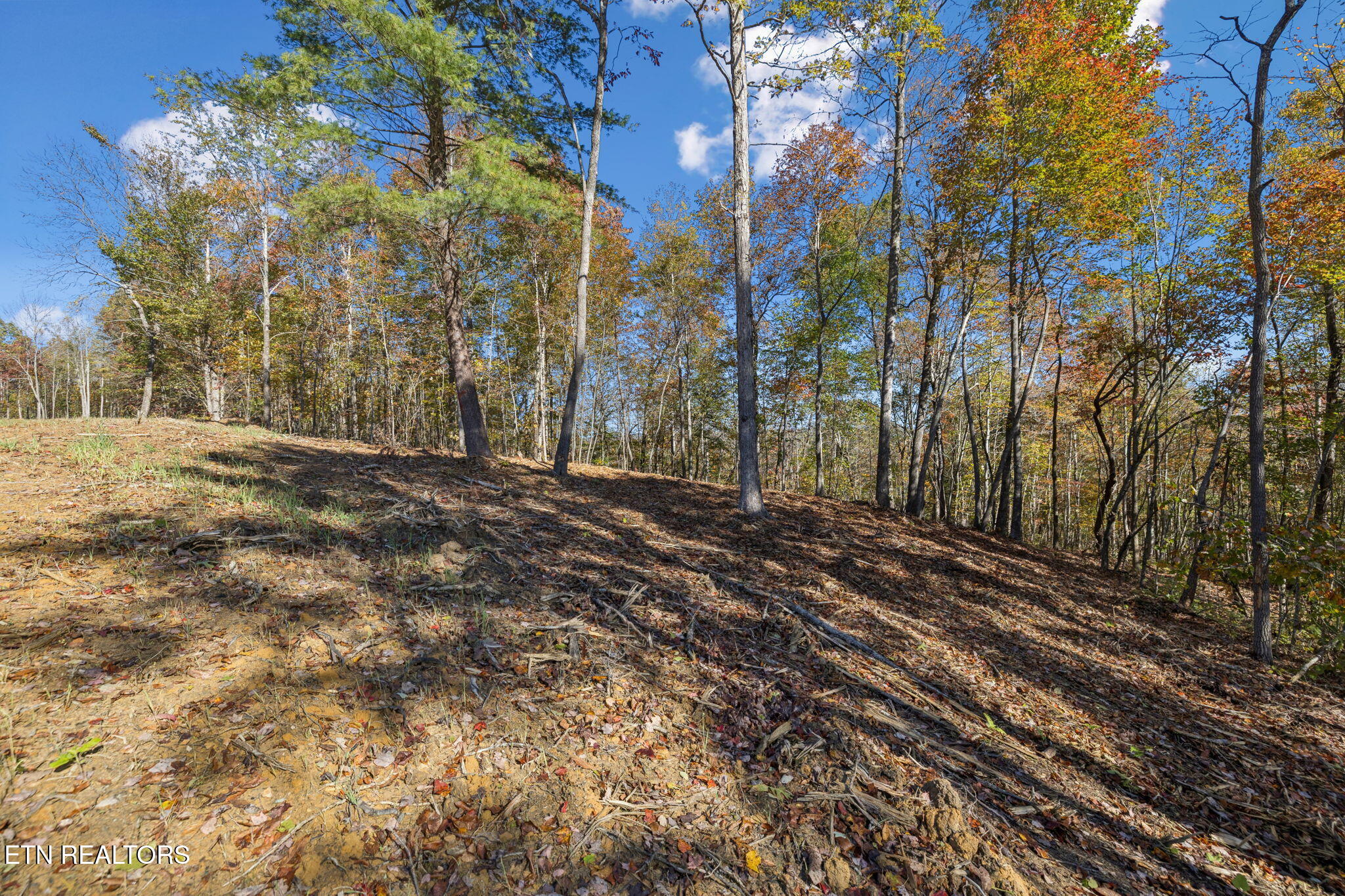 Sheep Ranch Road Robbins TN 37852