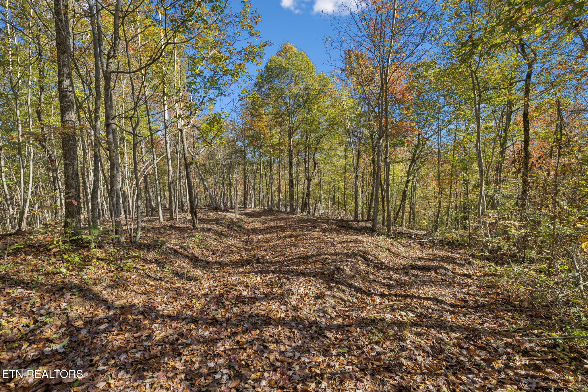 Sheep Ranch Road Robbins TN 37852