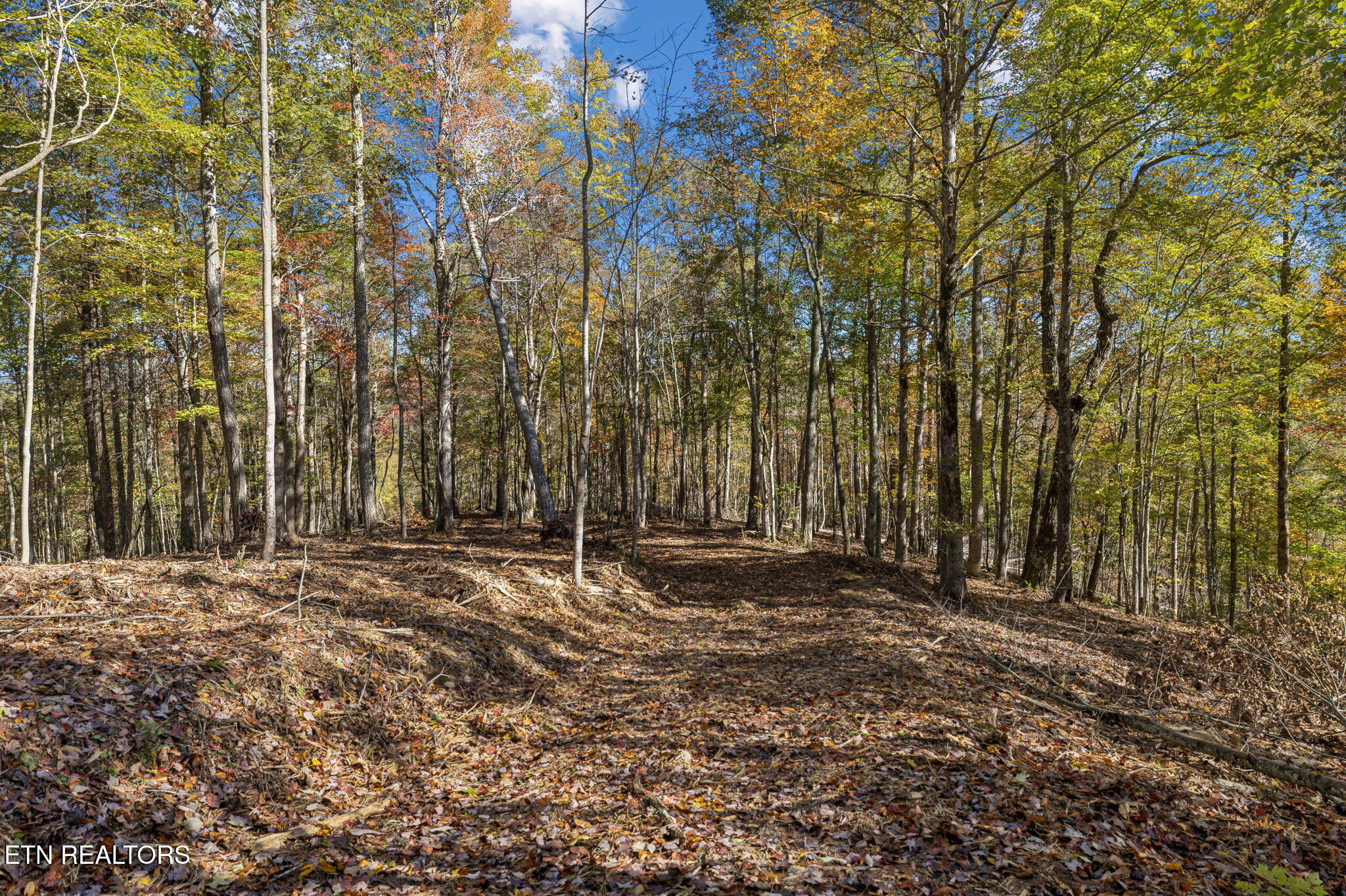 Sheep Ranch Road Robbins TN 37852