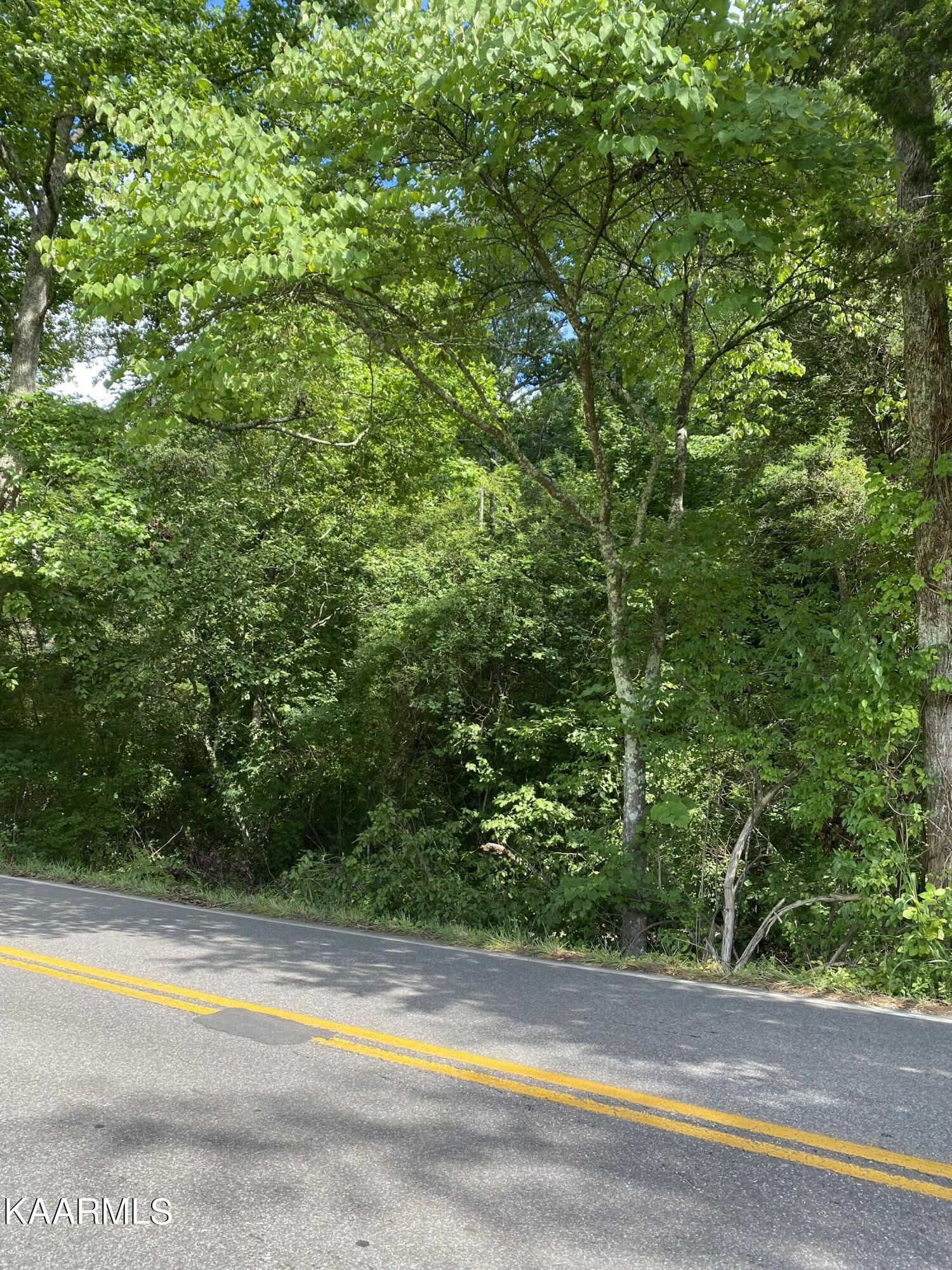 Rifle Range Road, Lot 16 Road Knoxville TN 37918