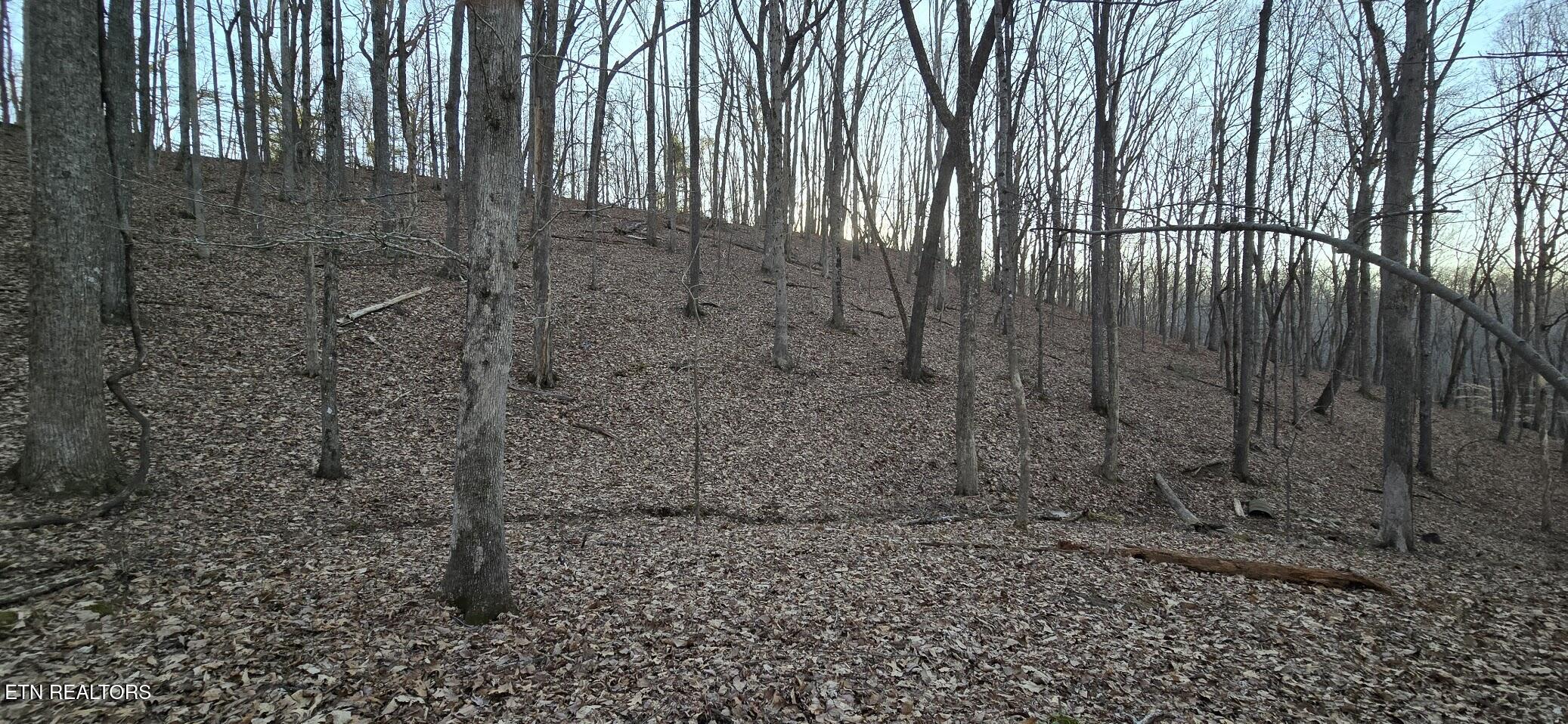 119 Pineridge Loop Fairfield Glade TN 38558
