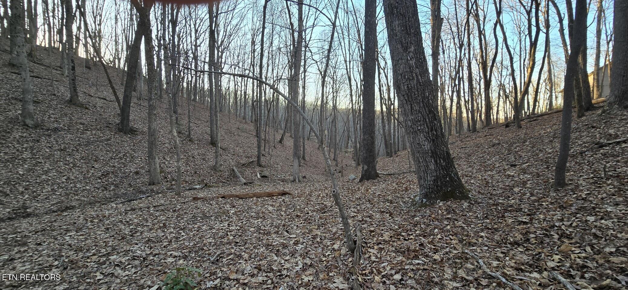 119 Pineridge Loop Fairfield Glade TN 38558