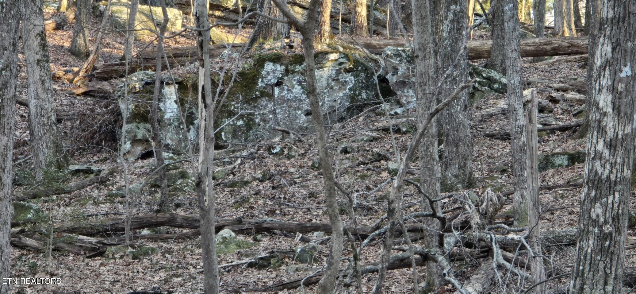 119 Pineridge Loop Fairfield Glade TN 38558