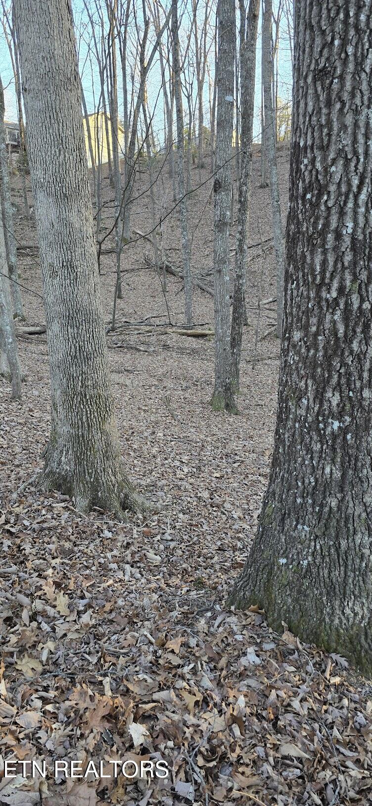119 Pineridge Loop Fairfield Glade TN 38558