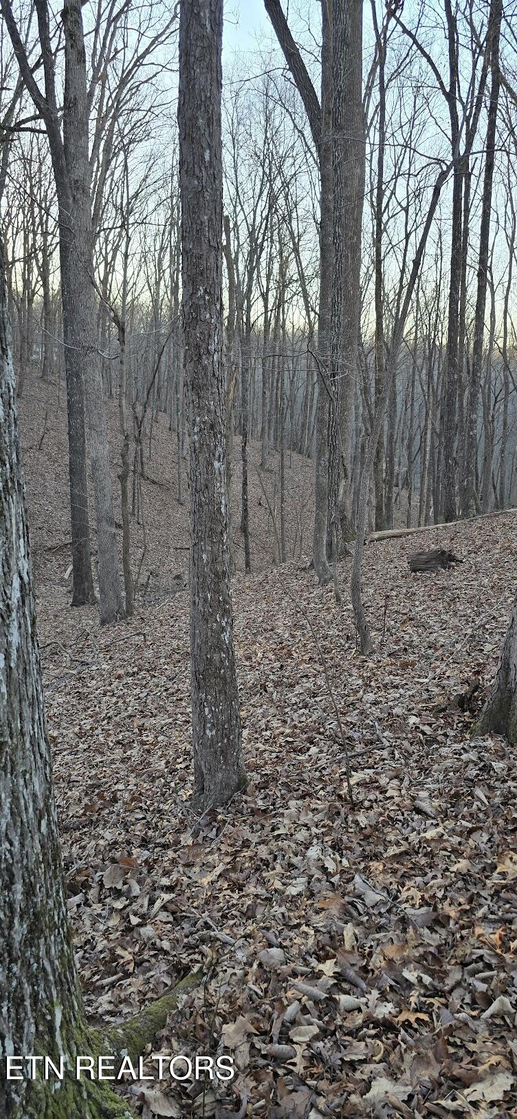119 Pineridge Loop Fairfield Glade TN 38558