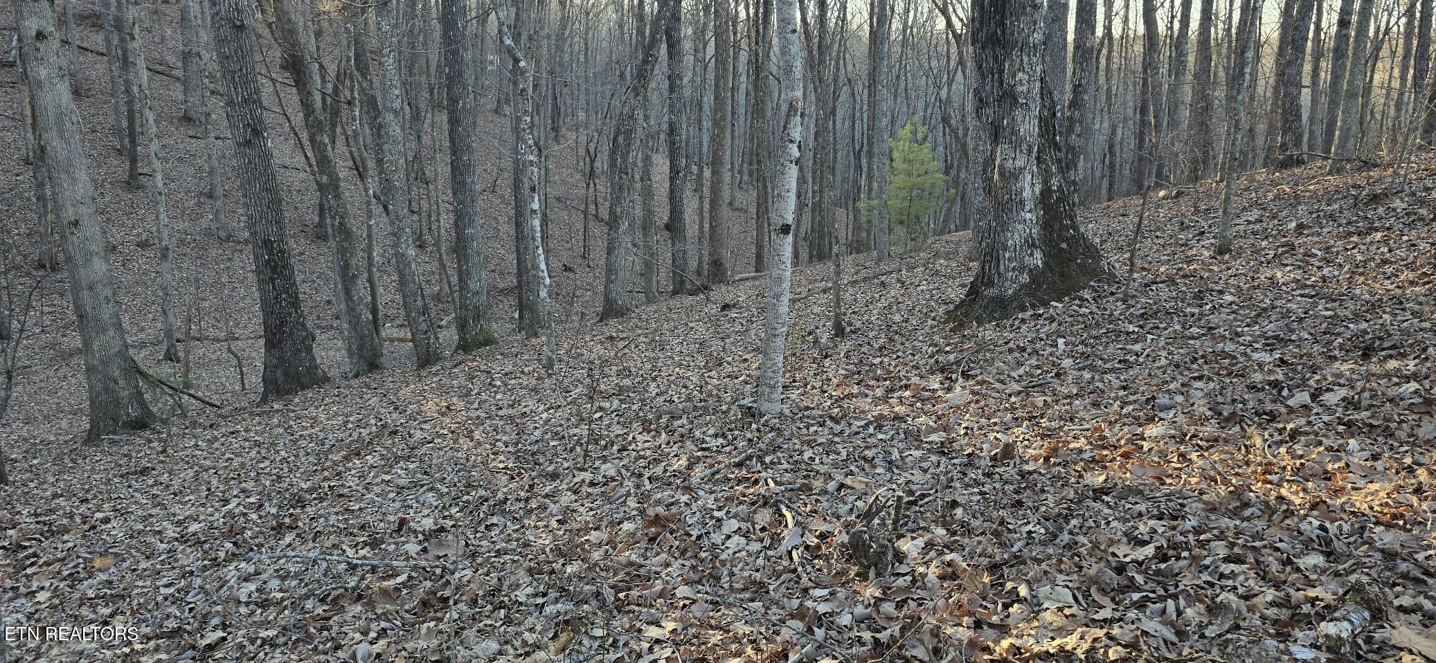 119 Pineridge Loop Fairfield Glade TN 38558