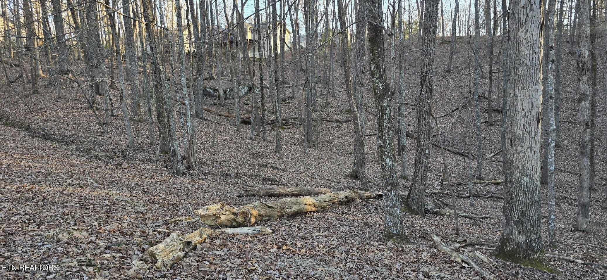 119 Pineridge Loop Fairfield Glade TN 38558